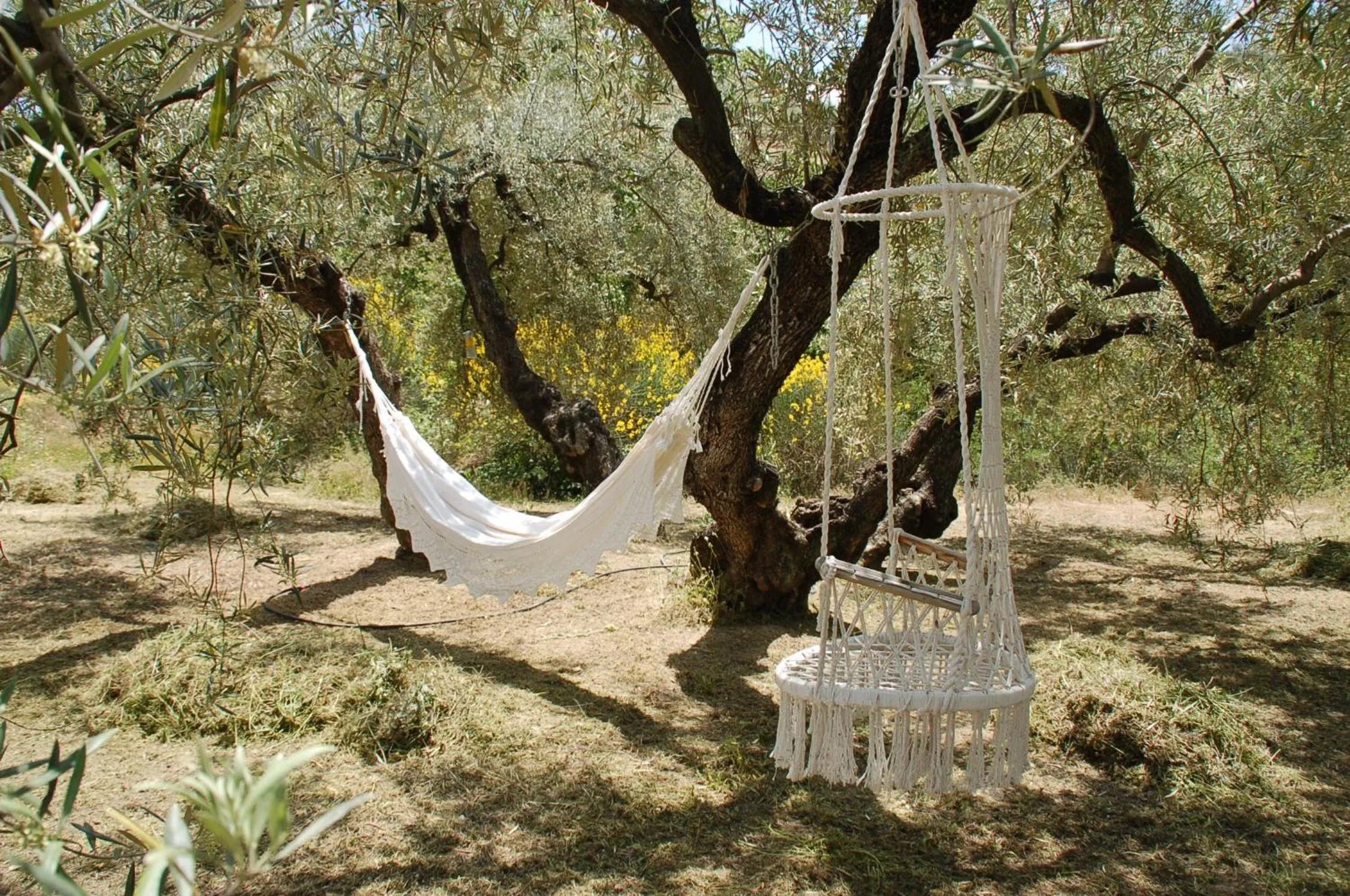 Garden in Valle de Oro