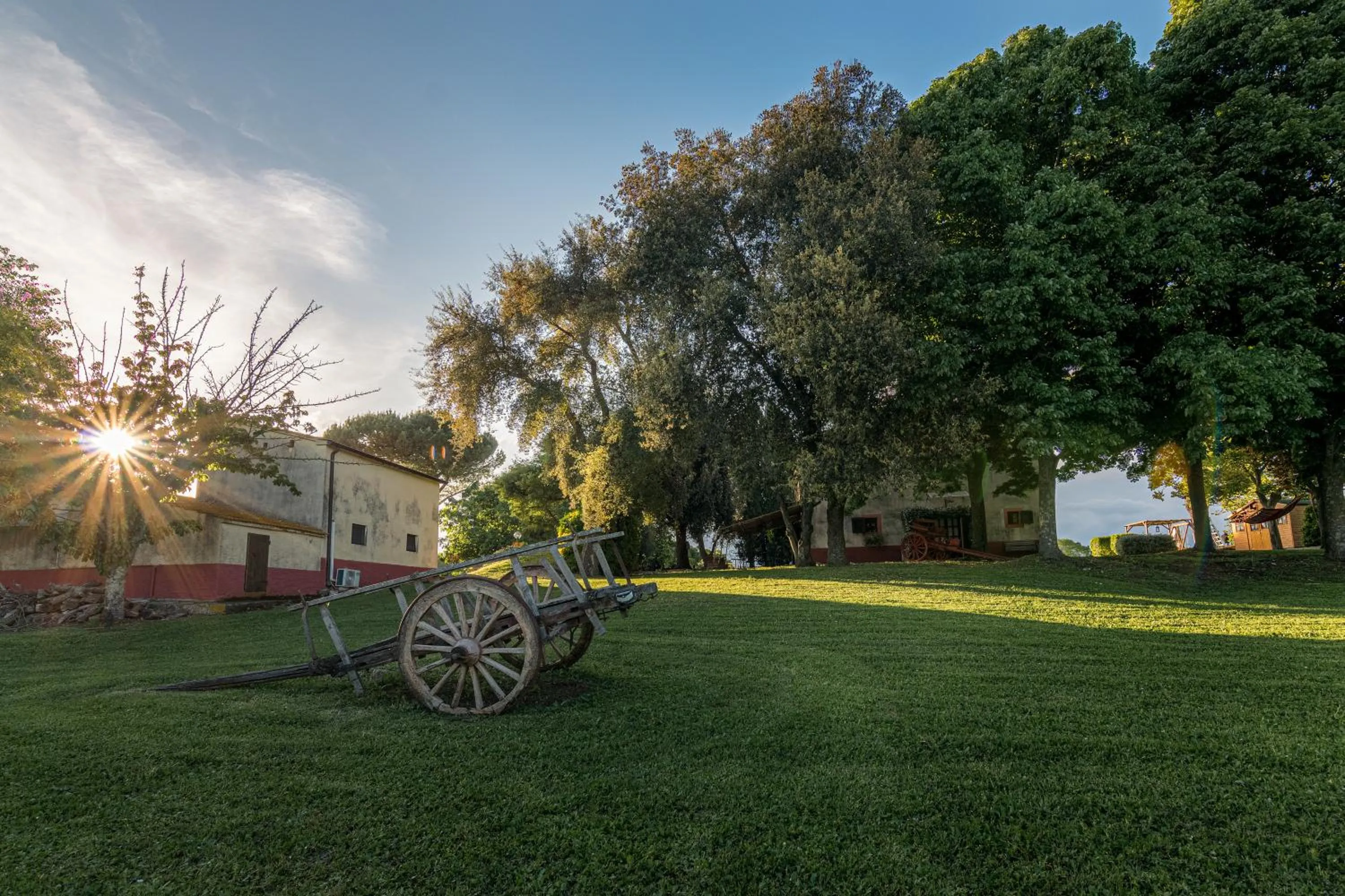 Garden in B&B Borgo Vera