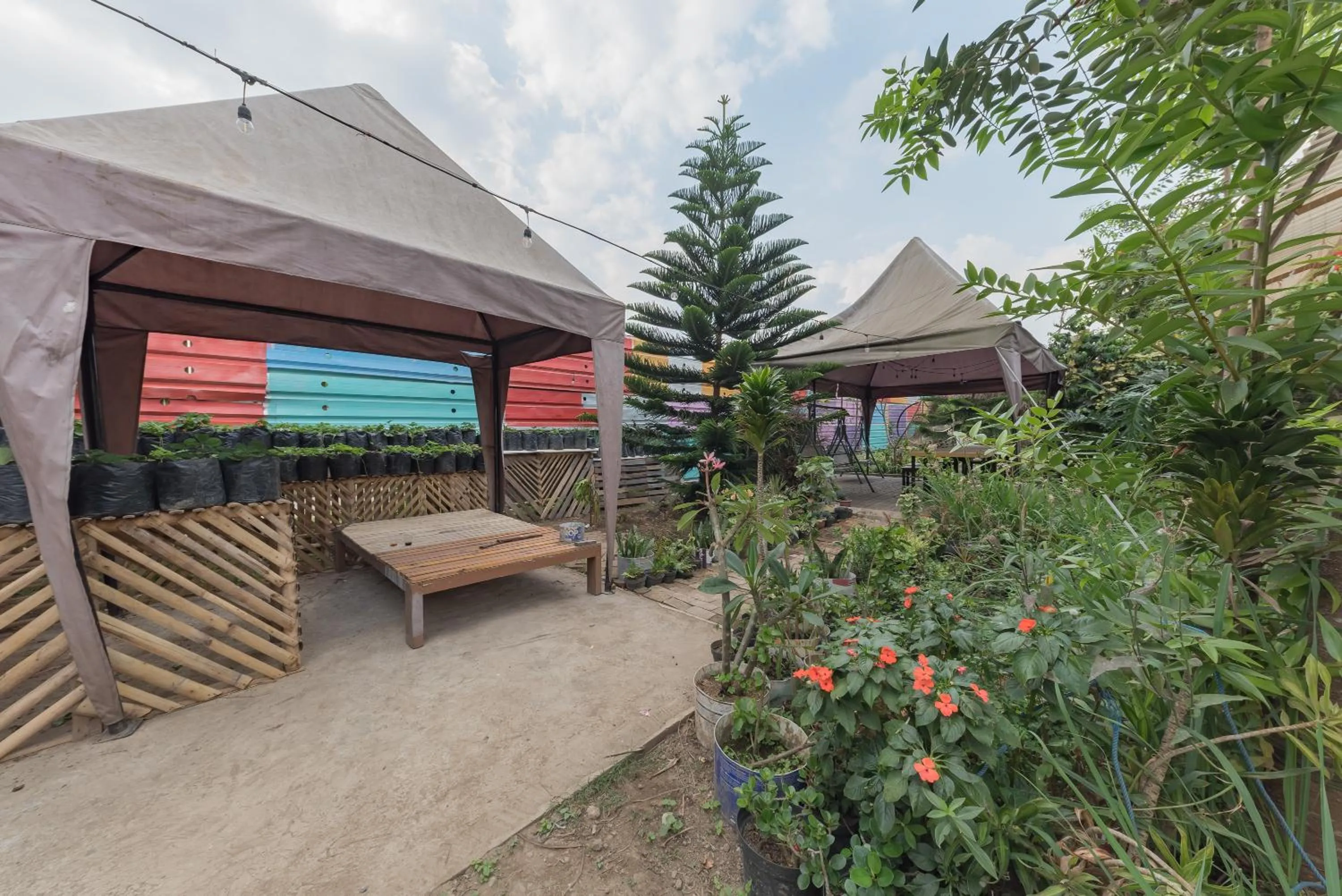 Garden in RedDoorz near Universitas Advent Indonesia