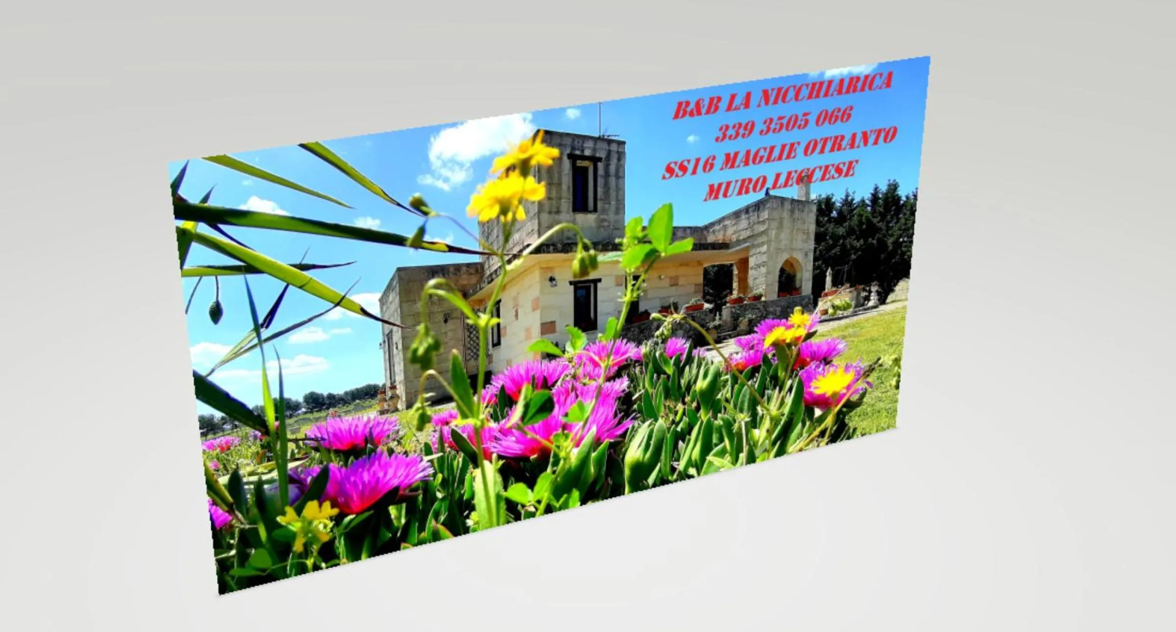 B&B La Nicchiarica