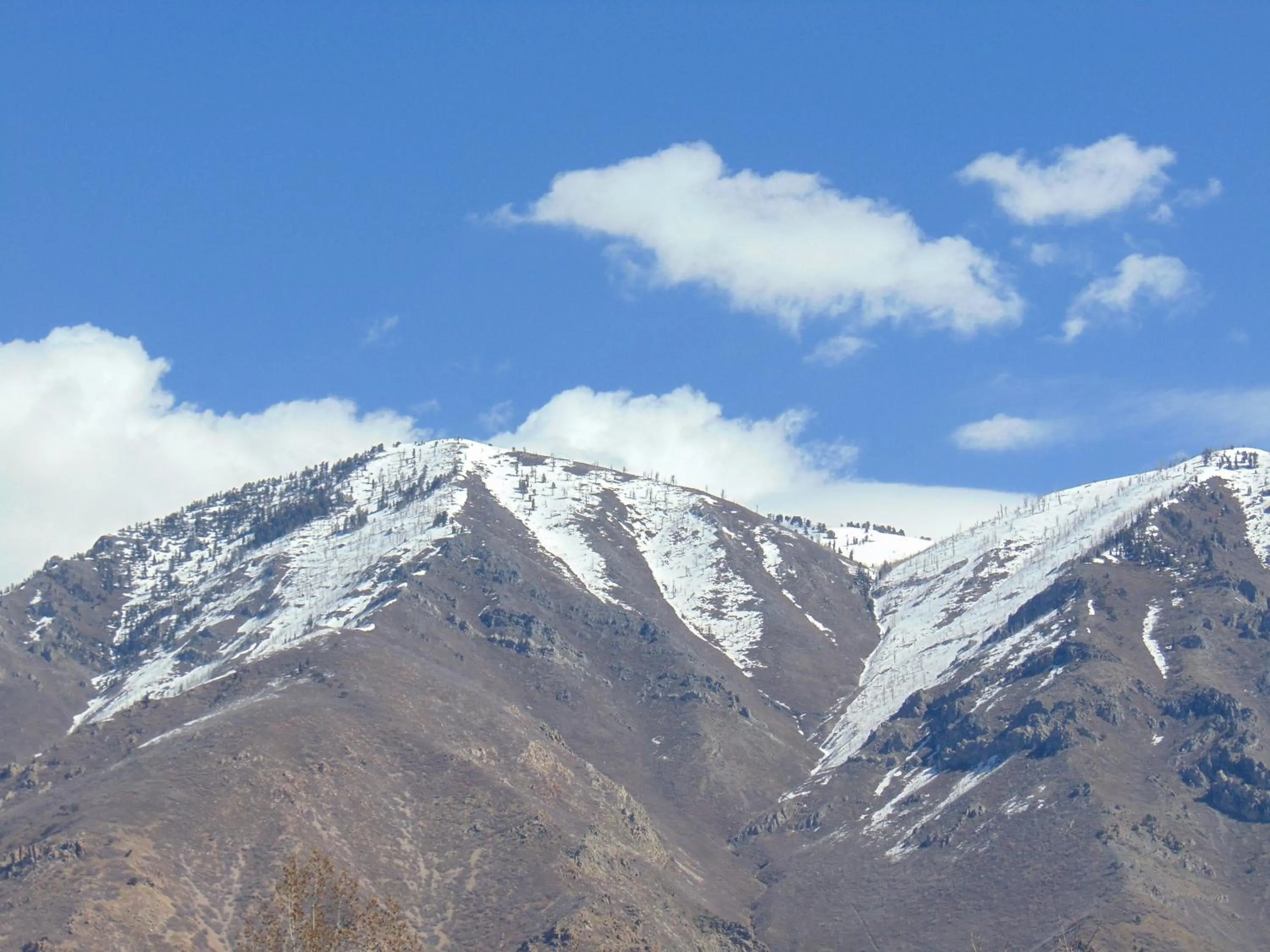 Property building in Holiday Inn Express & Suites Springville-South Provo Area by IHG