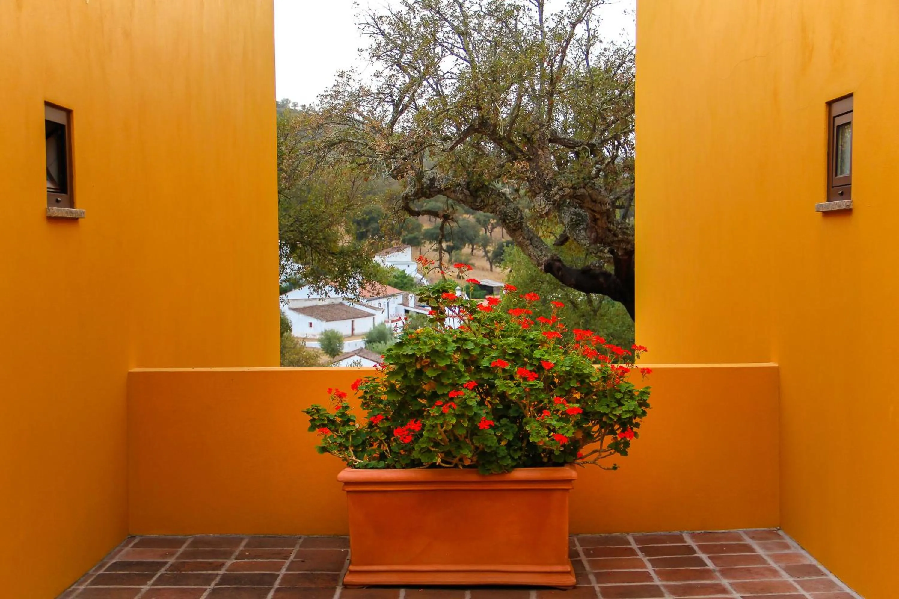 Patio in Monte da Esperanca