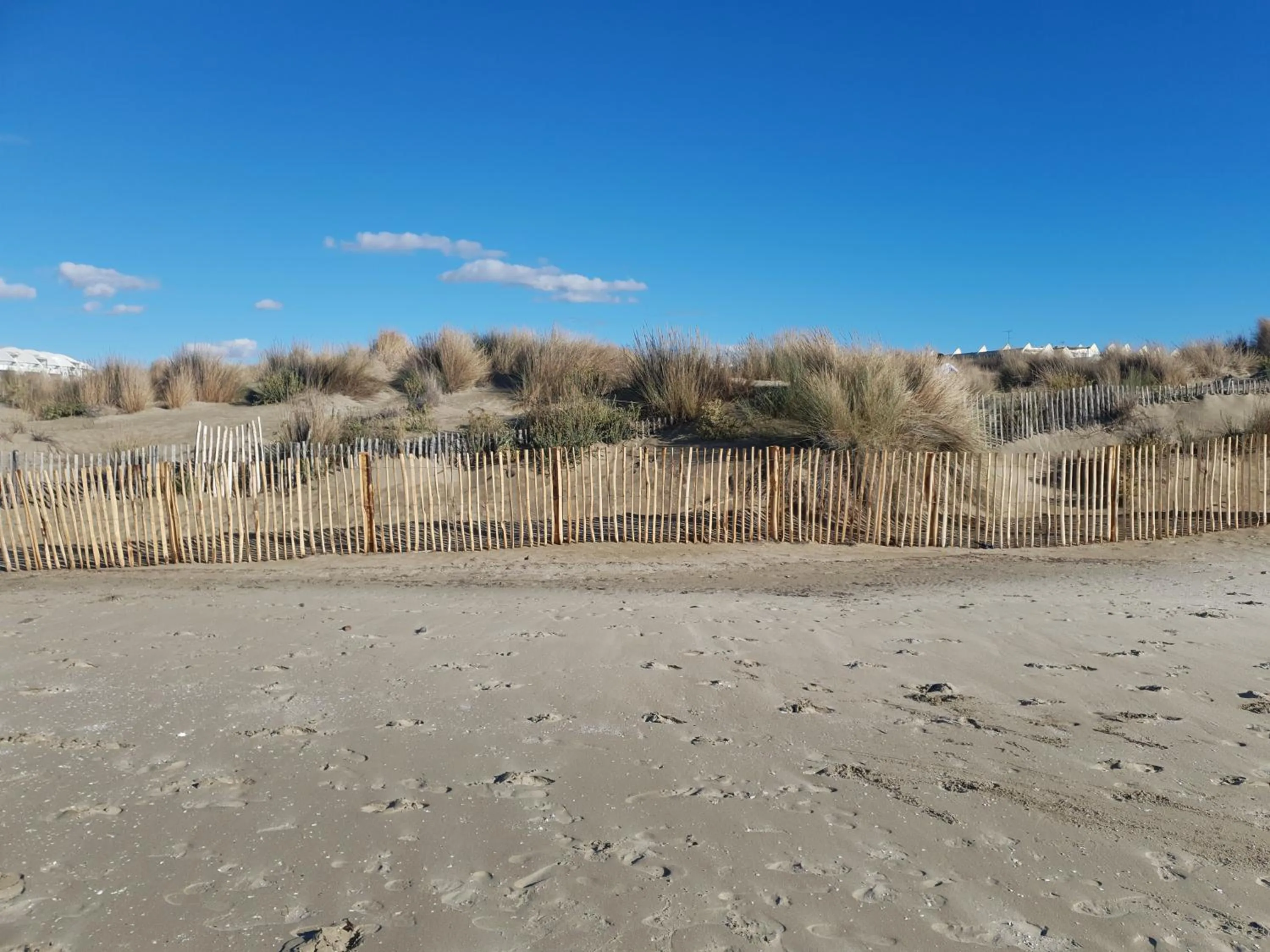 La petite Camargue