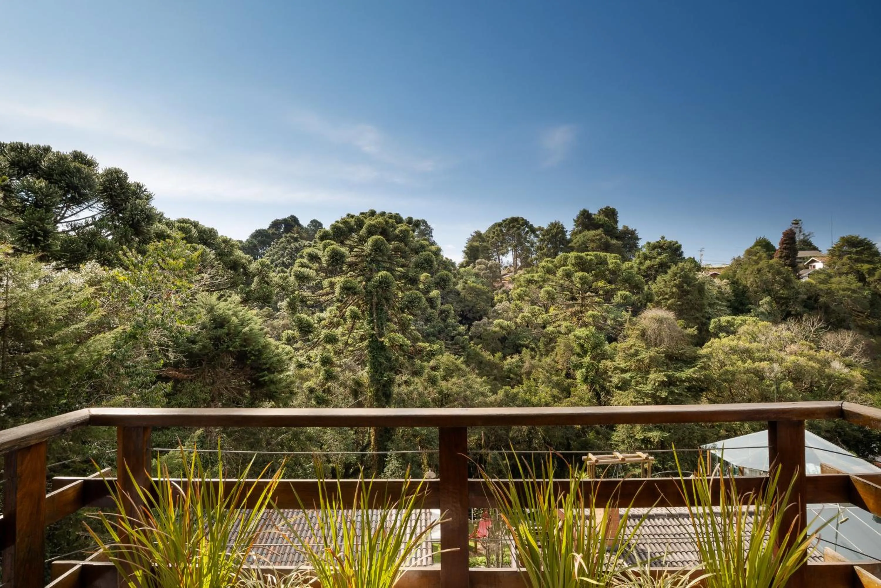 View (from property/room) in Pousada Apple House Campos do Jordao