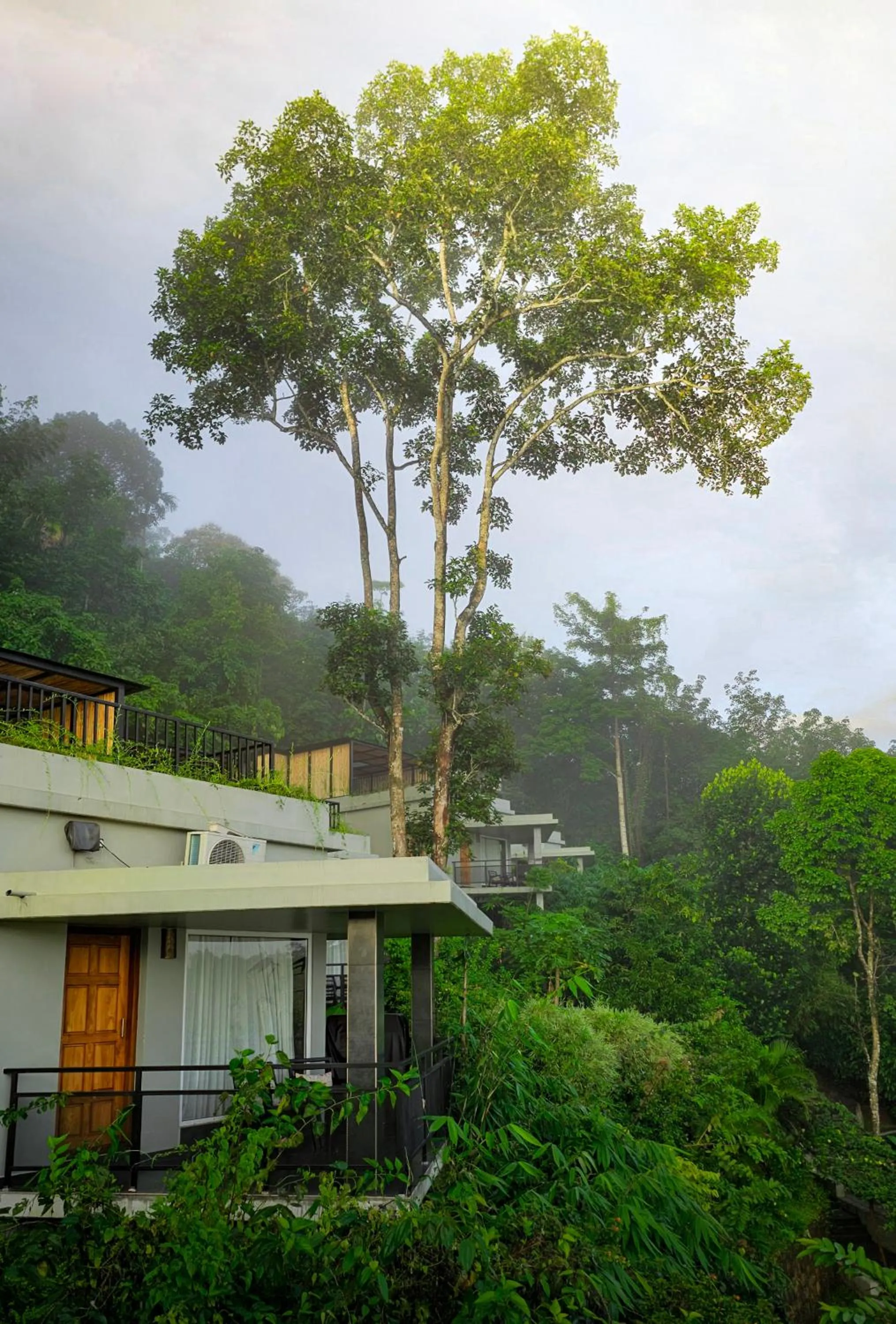 View (from property/room) in Maram Resort Mamalakandam