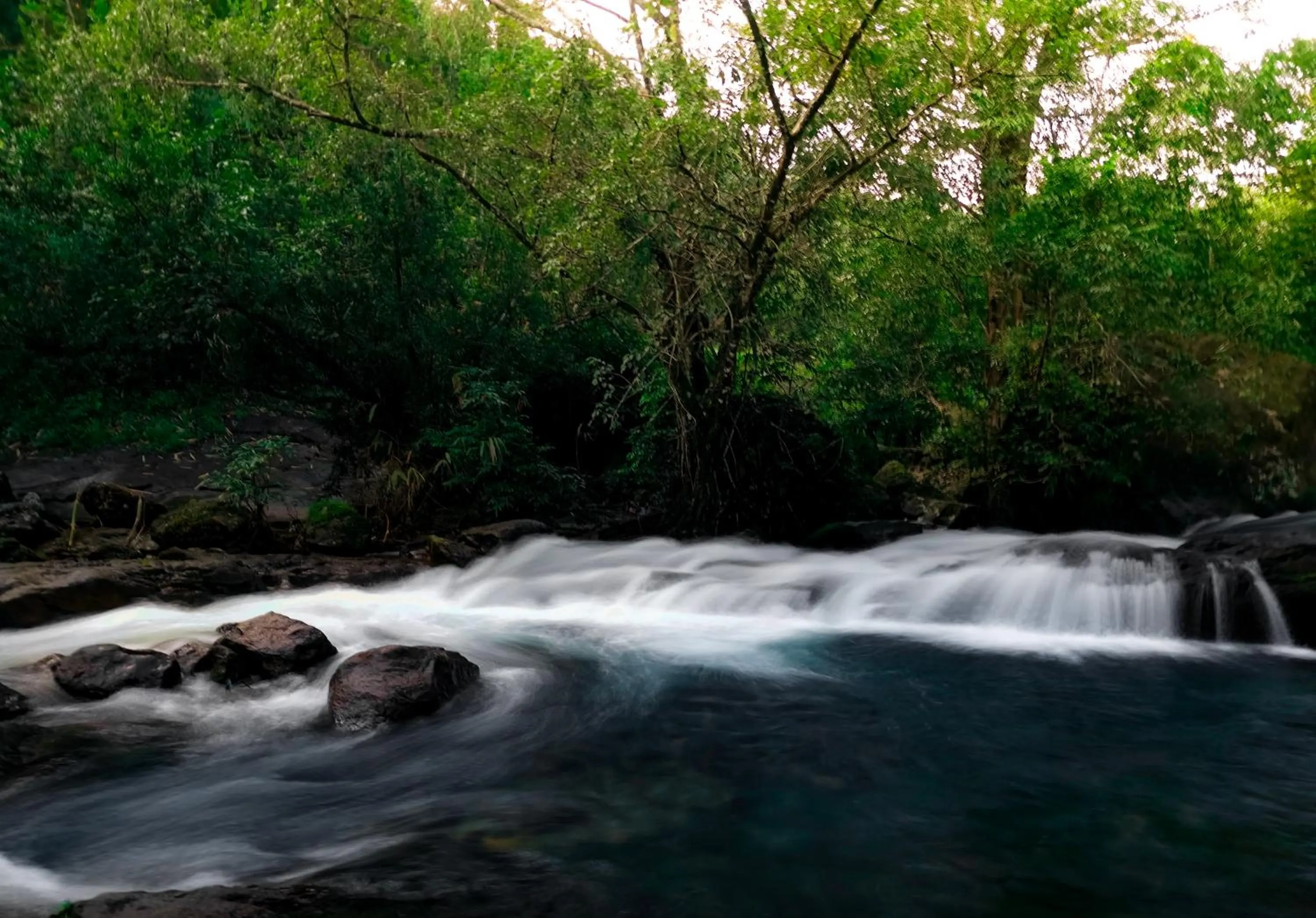 Other in Maram Resort Mamalakandam