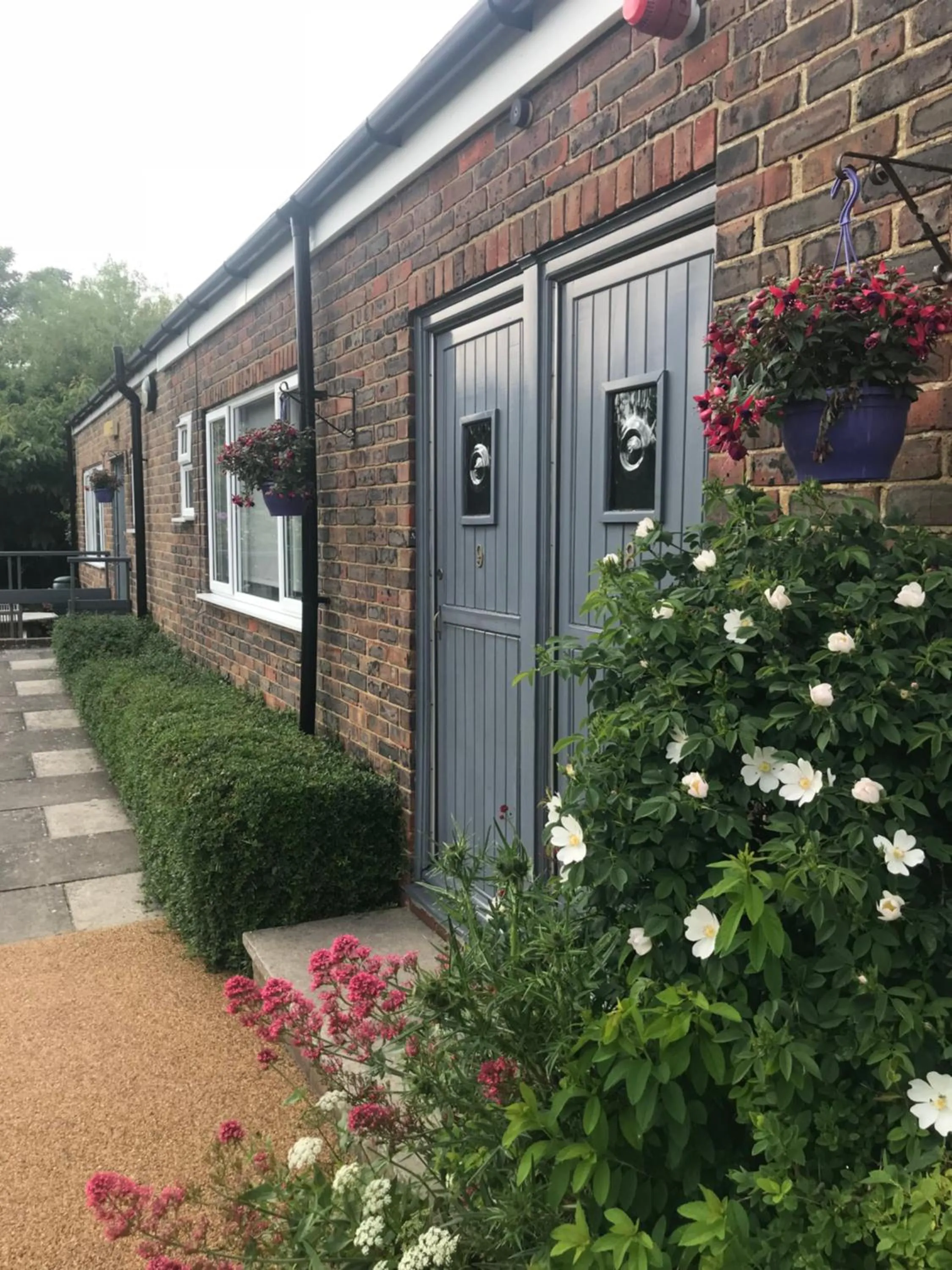 Garden in The Coast Yard B & B and Garden Chalets