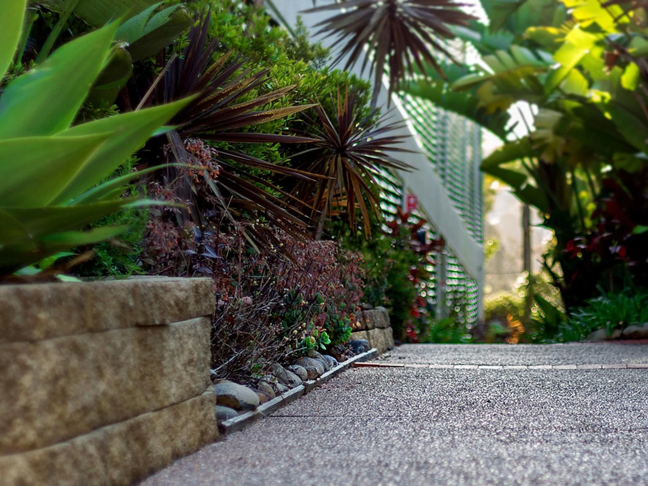 Garden in Avoca Palms Resort