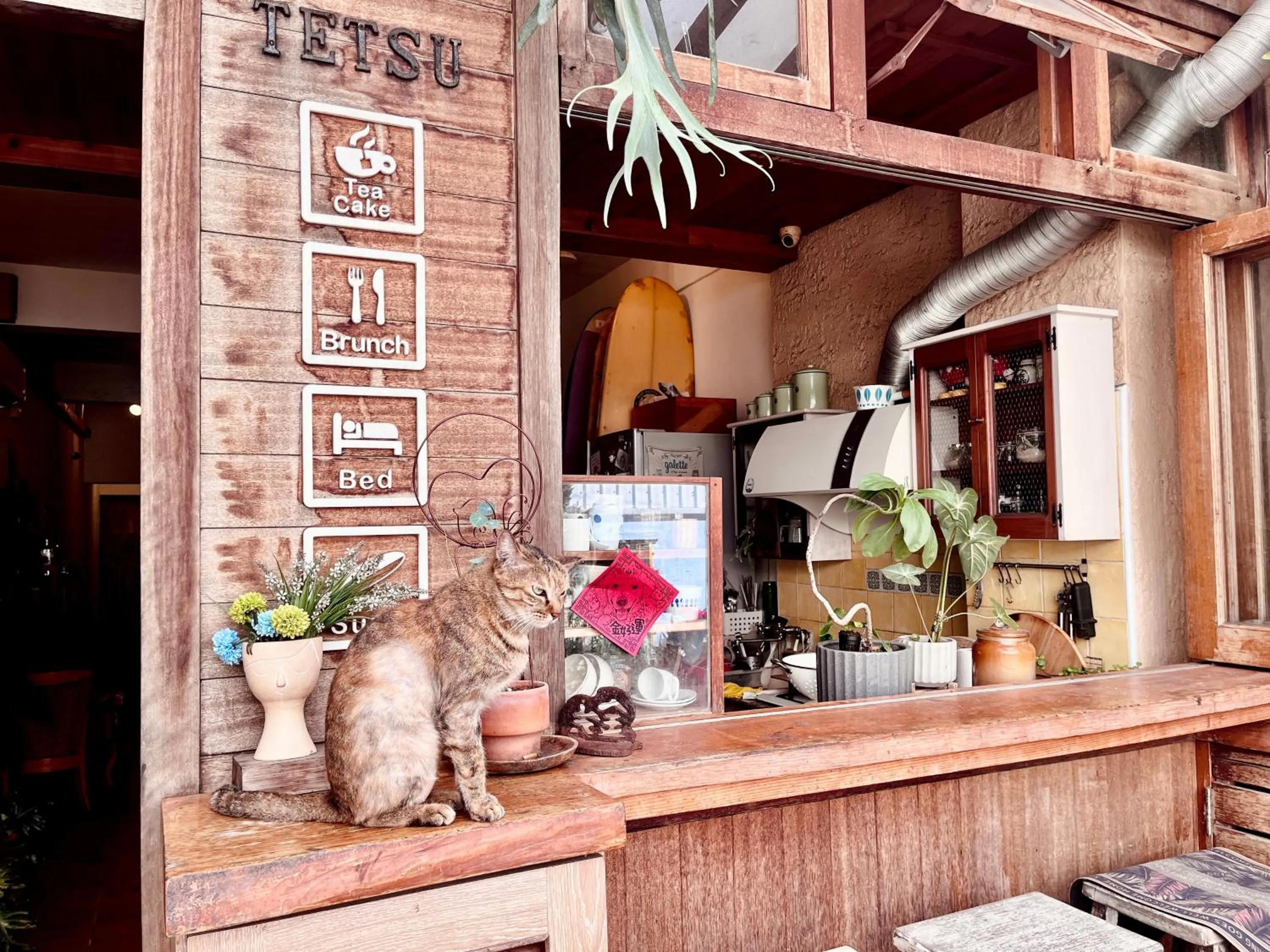 Pets in 墾丁寵物友善 鐵宿 Tetsu B&B