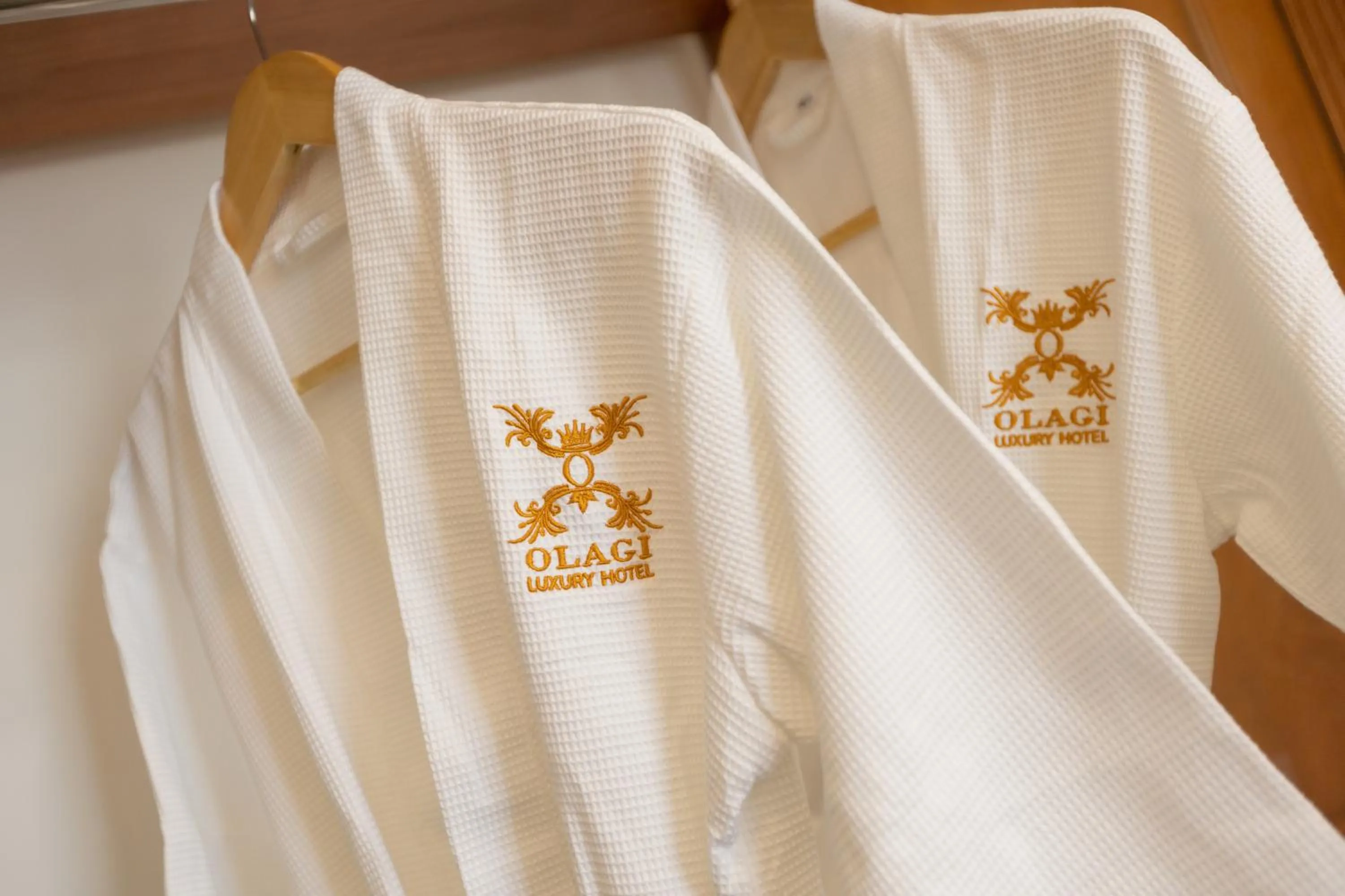 wardrobe in OLAGI HOTEL