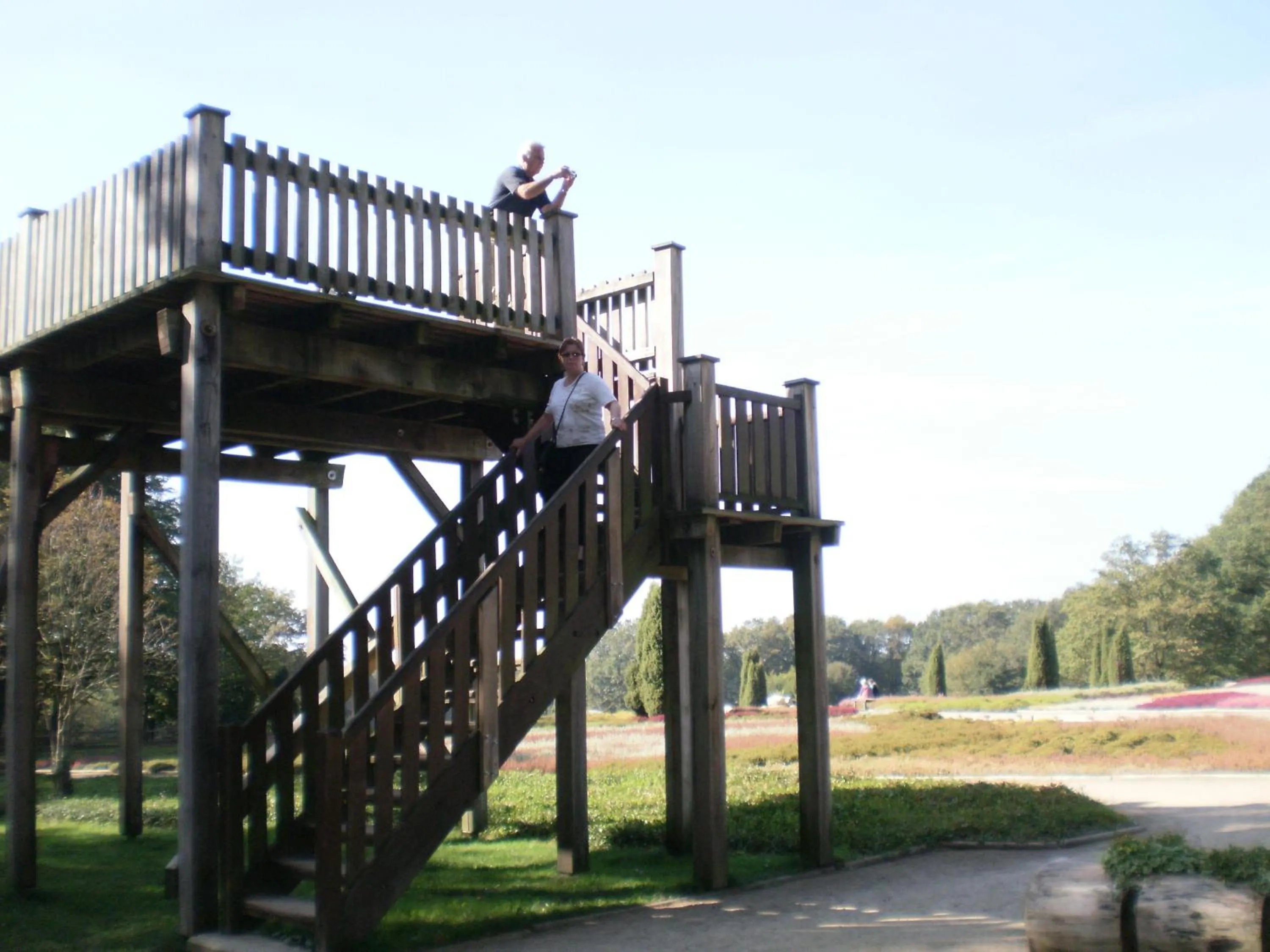 Natural landscape in Hotel Heidetraum