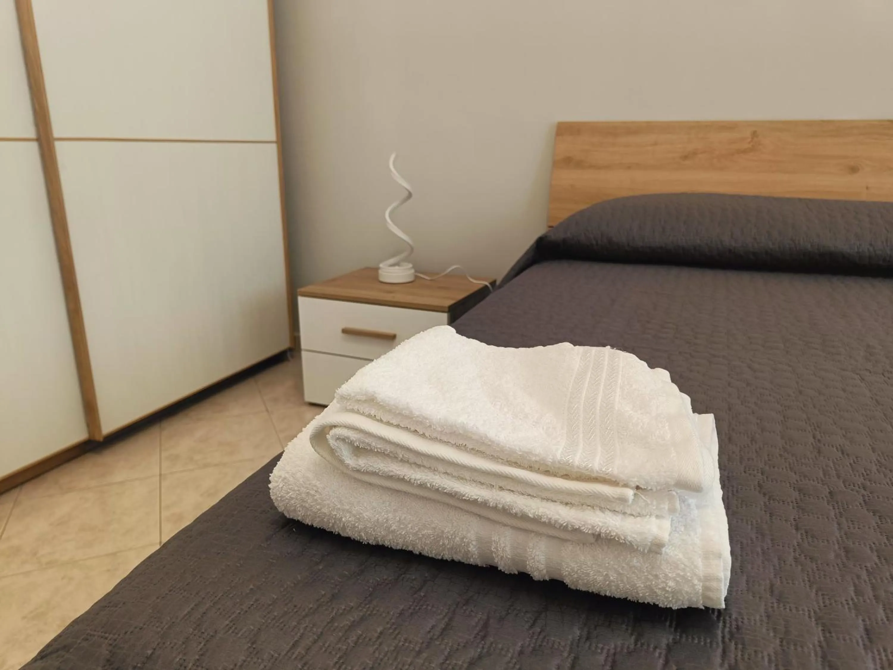 Photo of the whole room, Bed in Tia Tourist Apartment Rome