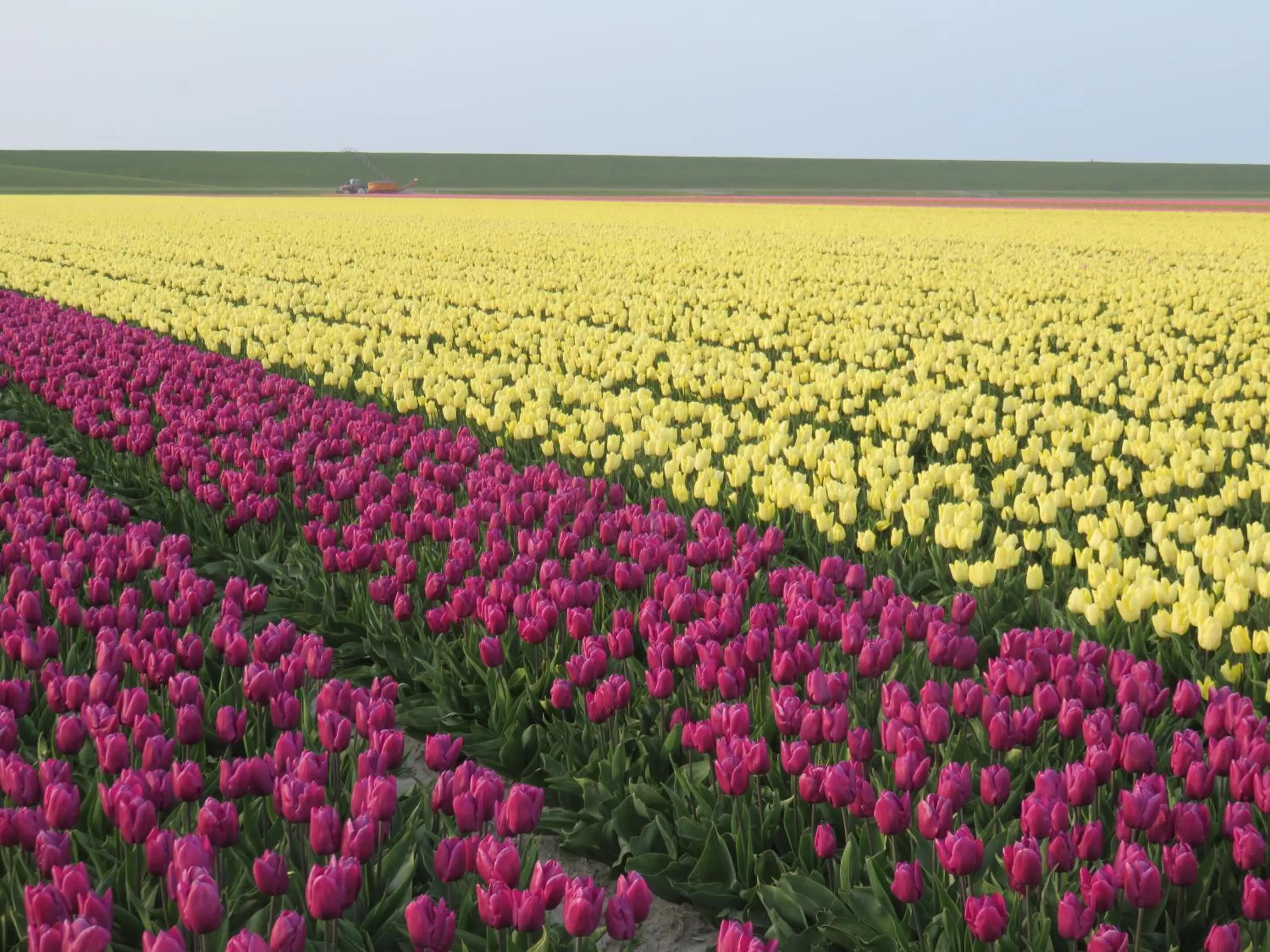 Natural landscape in Finisterre
