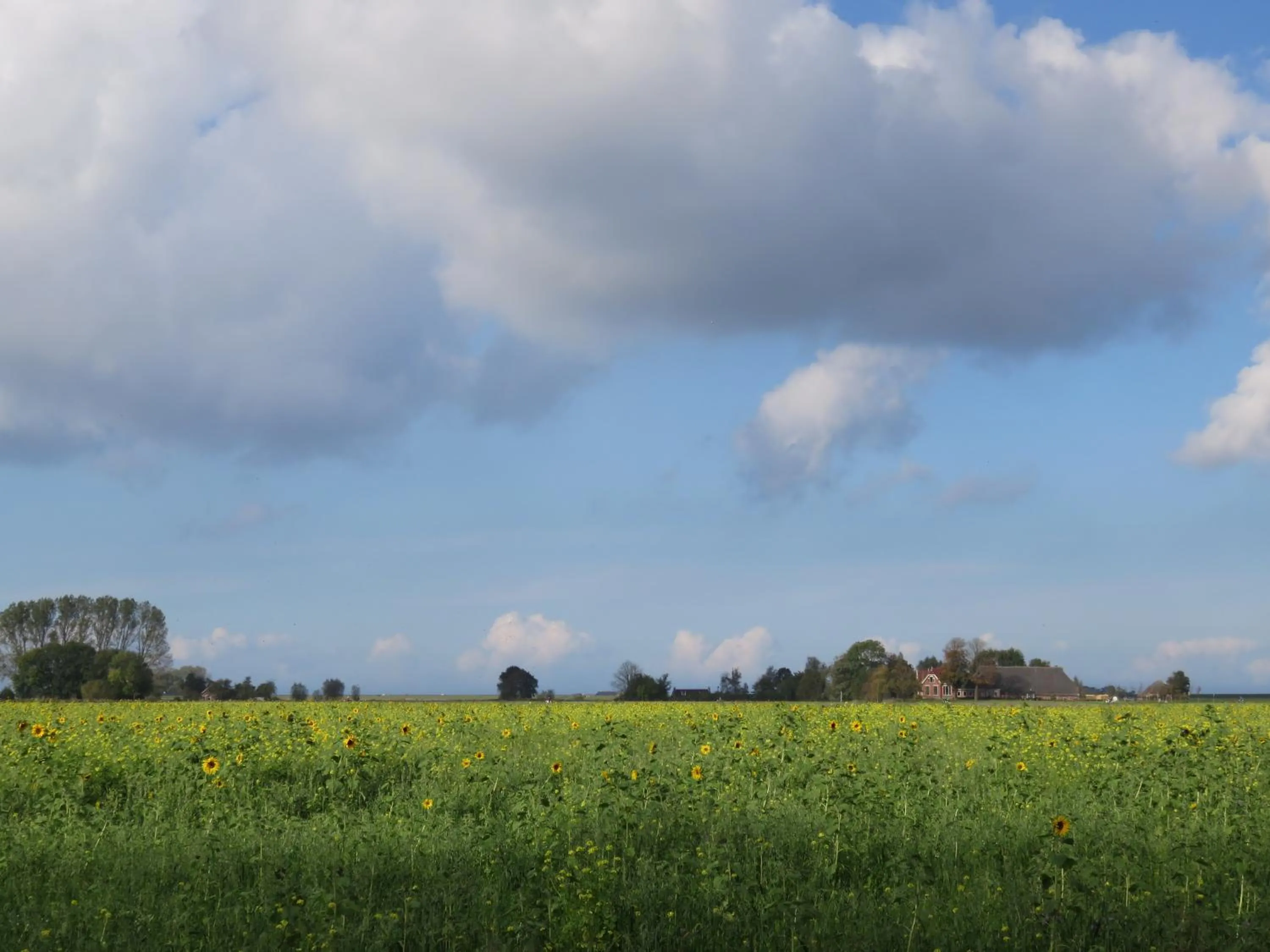 Spring in Finisterre