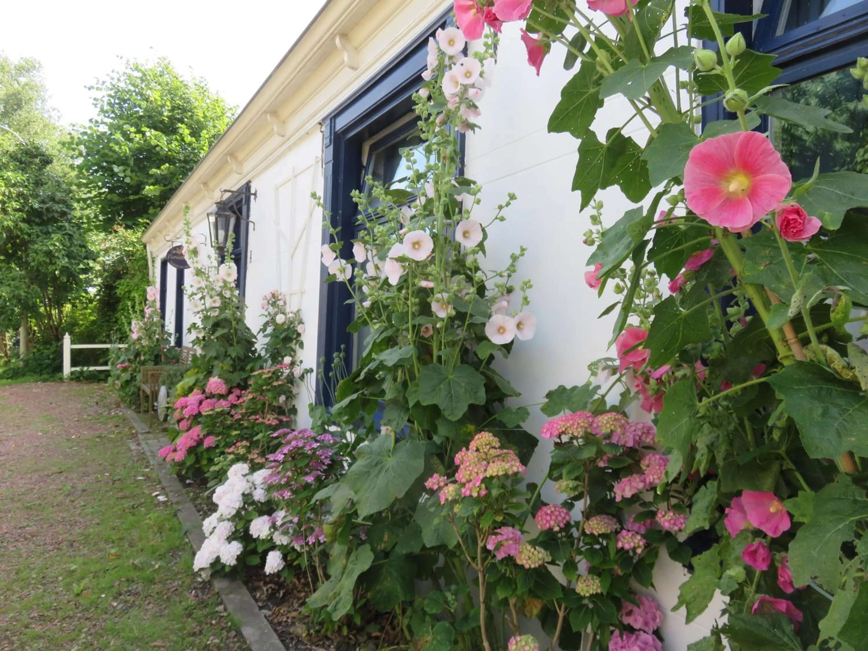 Facade/entrance in Finisterre