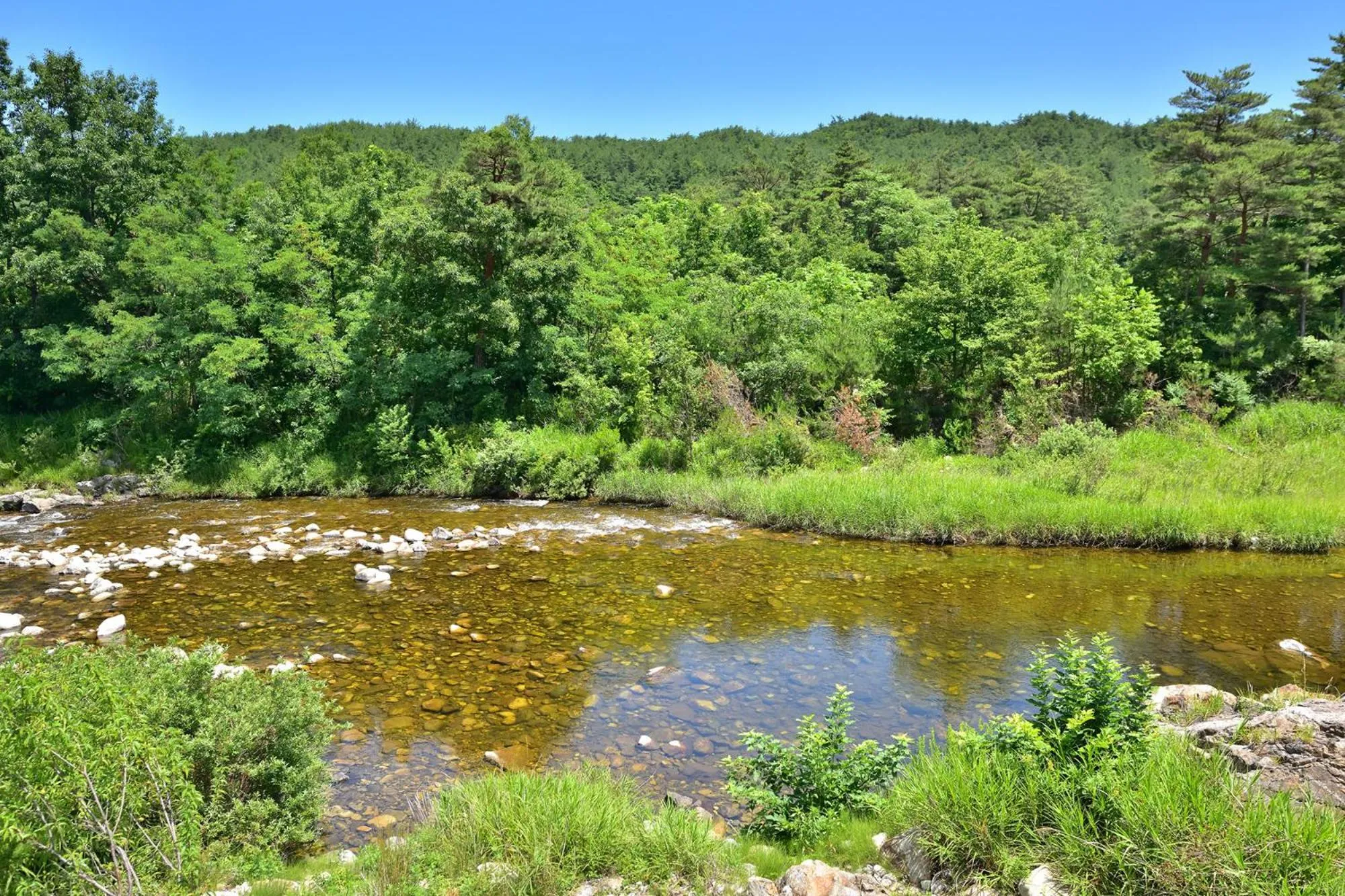 Yangyang Pulbit Pension