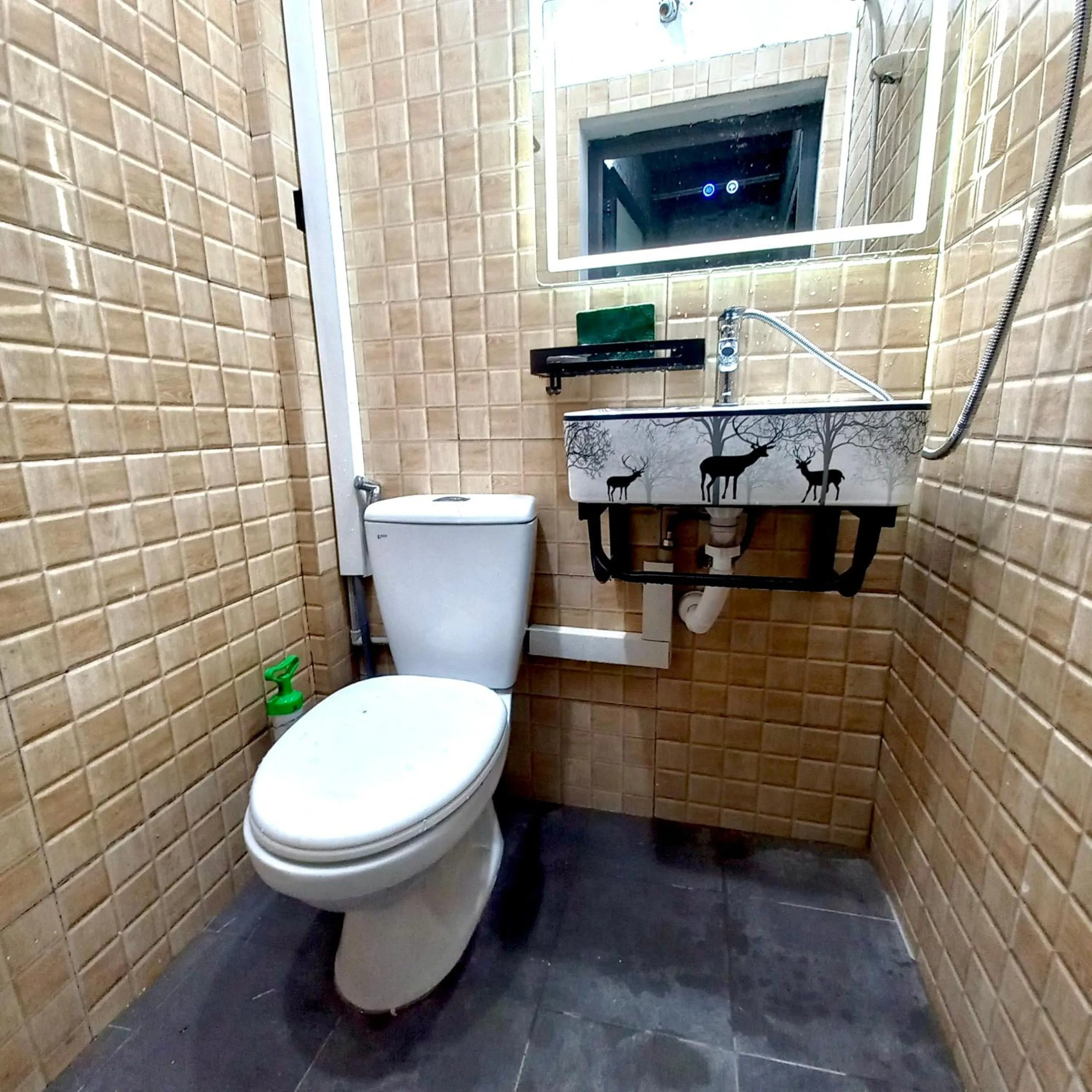 Toilet in Amelié Homestay