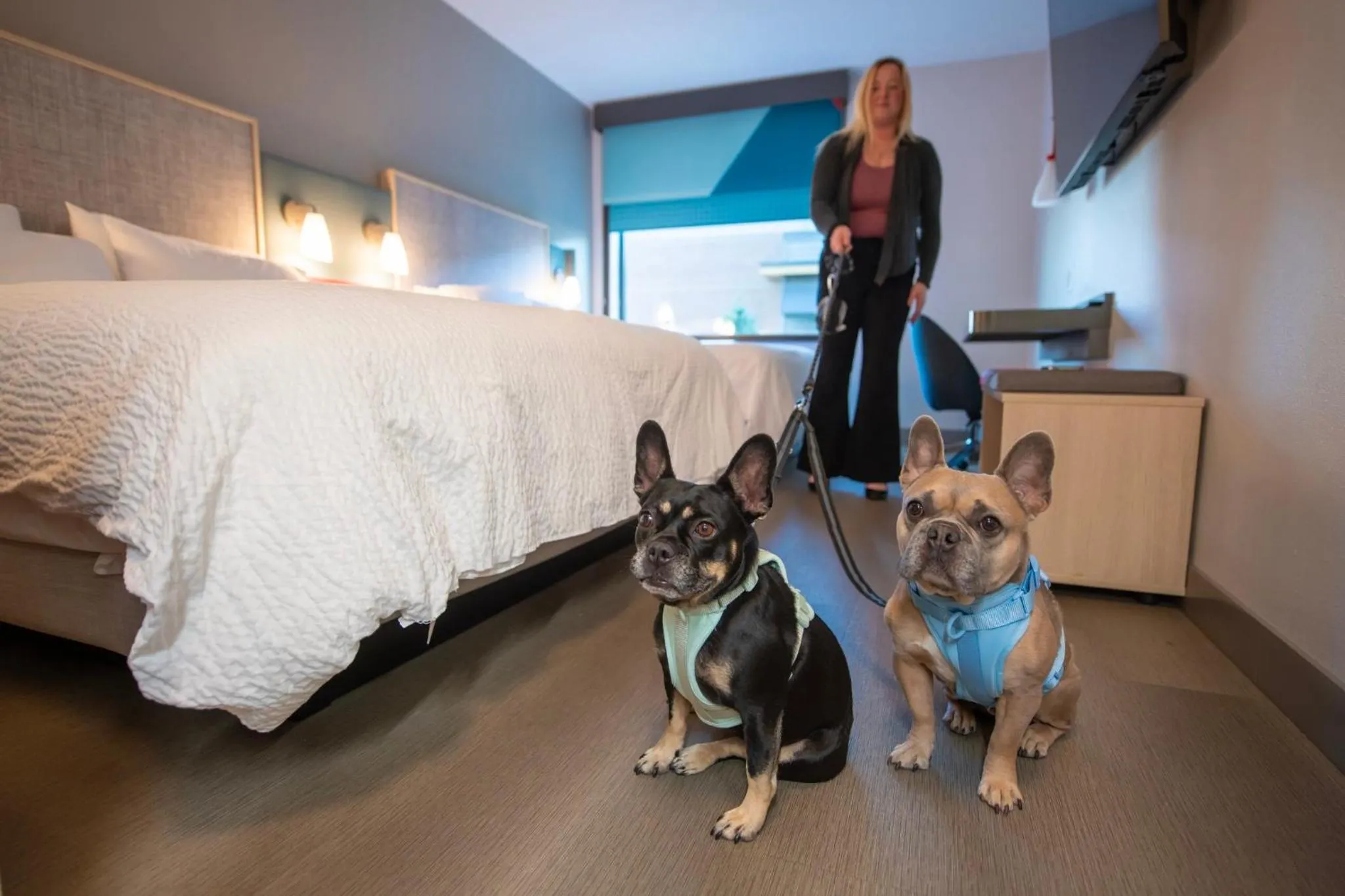 Lobby or reception in avid hotel Wisconsin Dells Lake Delton by IHG