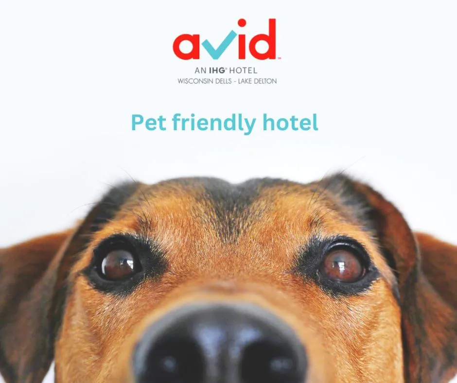 avid hotel Wisconsin Dells Lake Delton by IHG