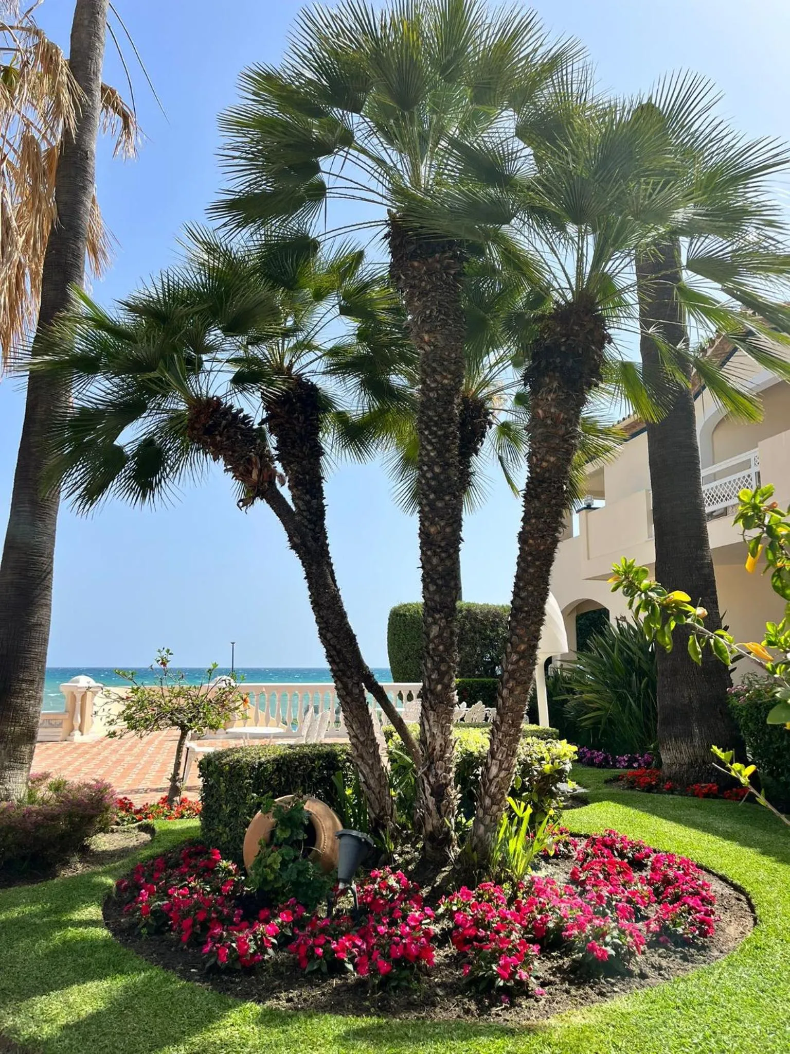 Las Dunas Grand Luxury