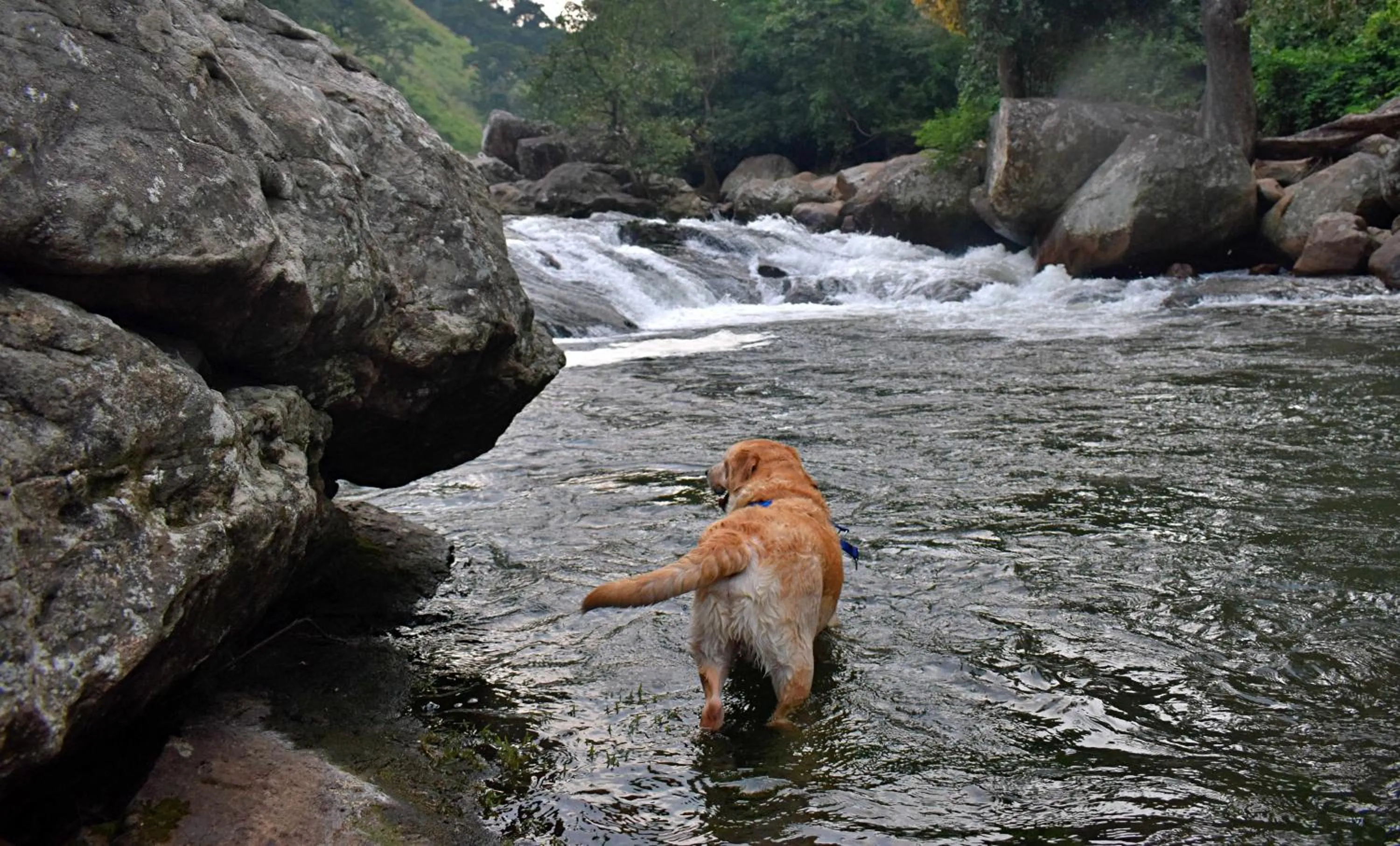 Other in Moon Wings Mountain Resort