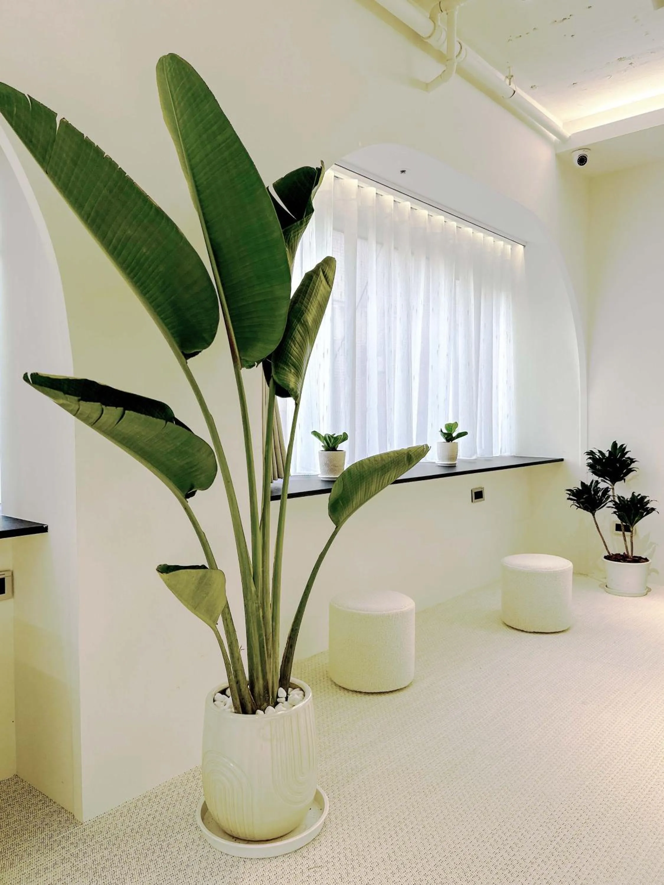 Seating area in Wonderwall Ximending