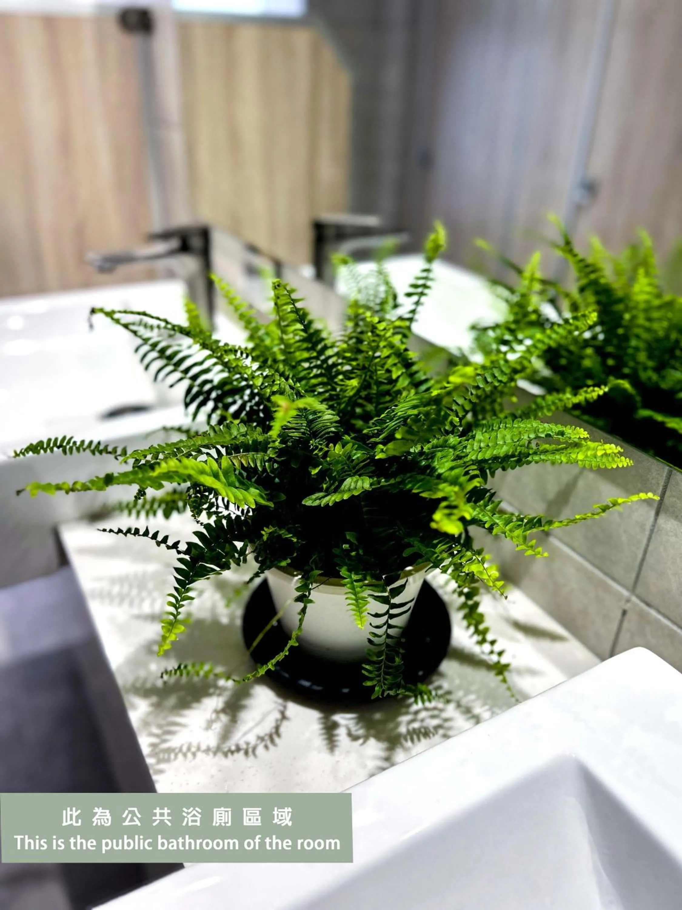 Decorative detail in Wonderwall Ximending