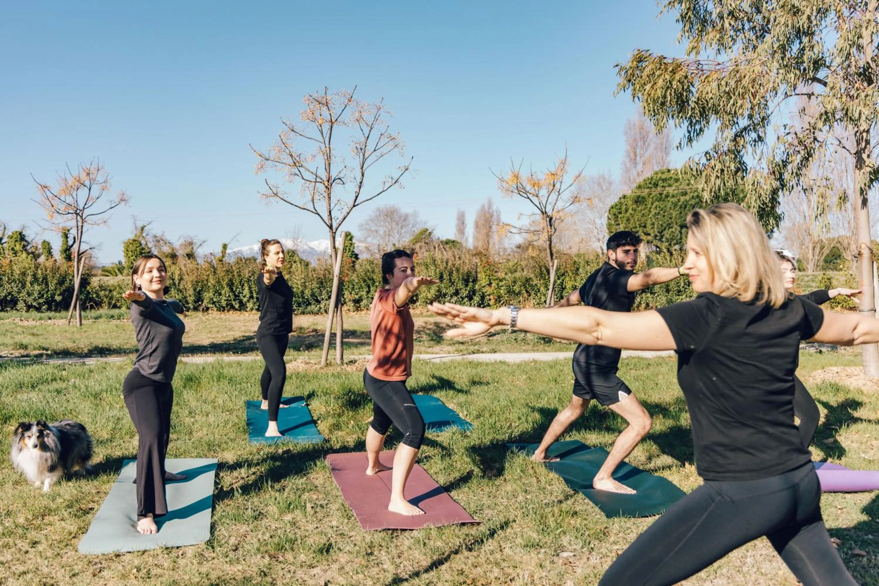 Spring in Résidence Pierre & Vacances Premium Domaine du Golfe du Lion