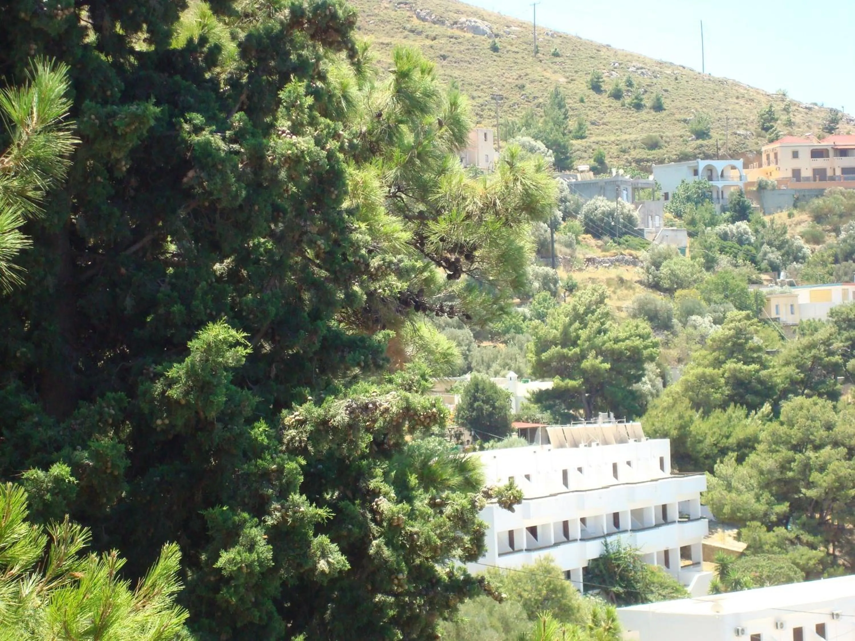 View (from property/room) in Pegasus