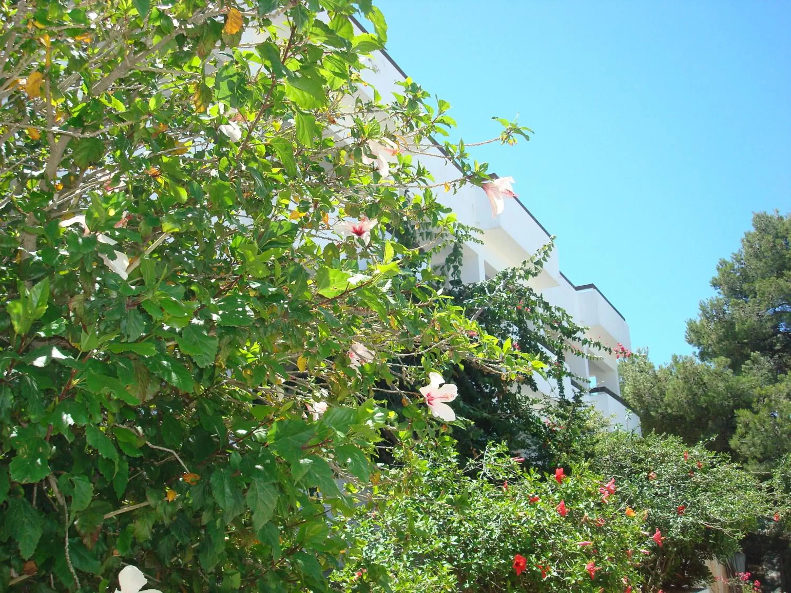 Studio with Garden and Mountain View in Pegasus Studio with Garden and Mountain View in Pegasus