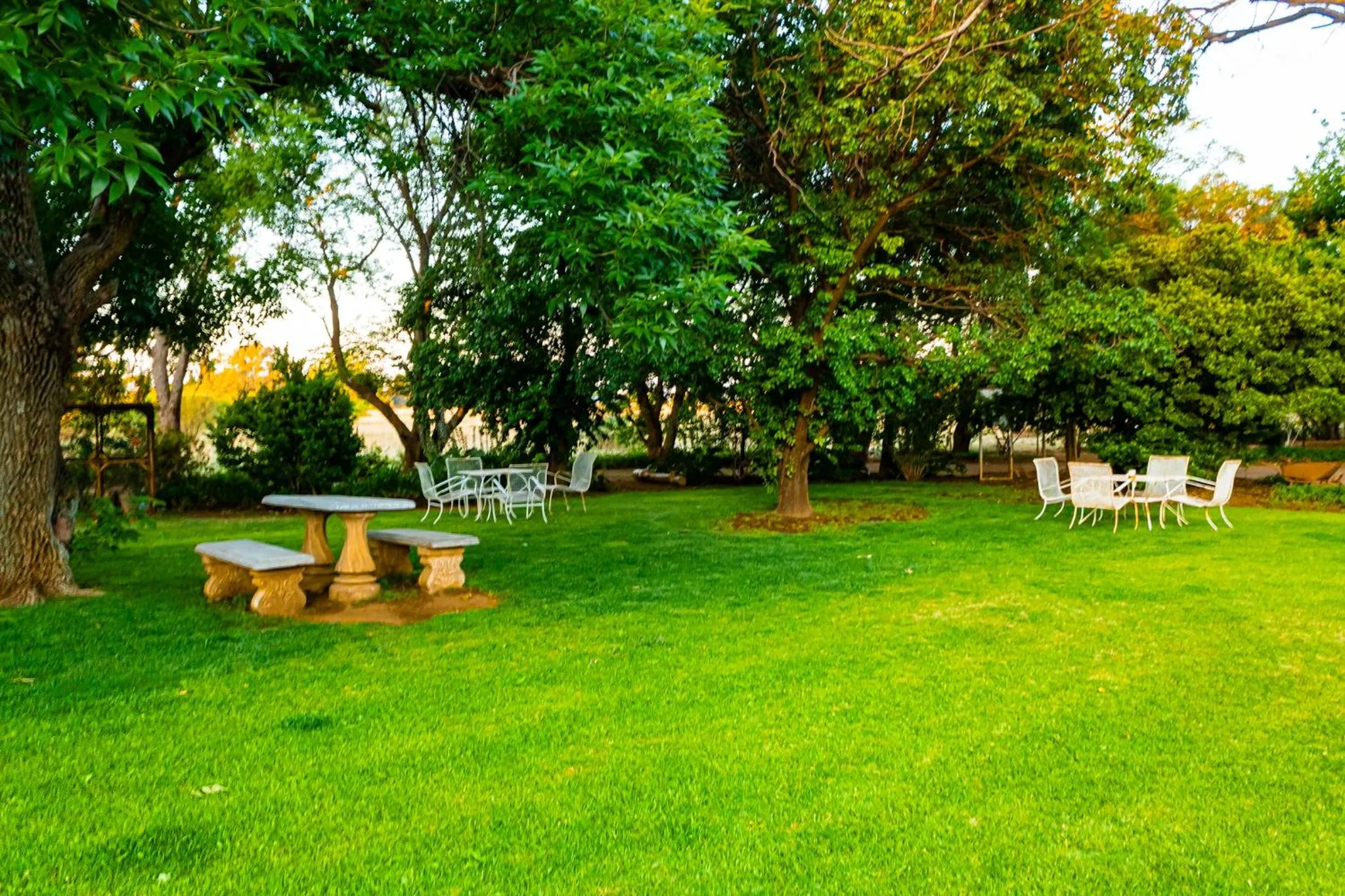 Garden view in A Cherry Lane Self Catering and B&B