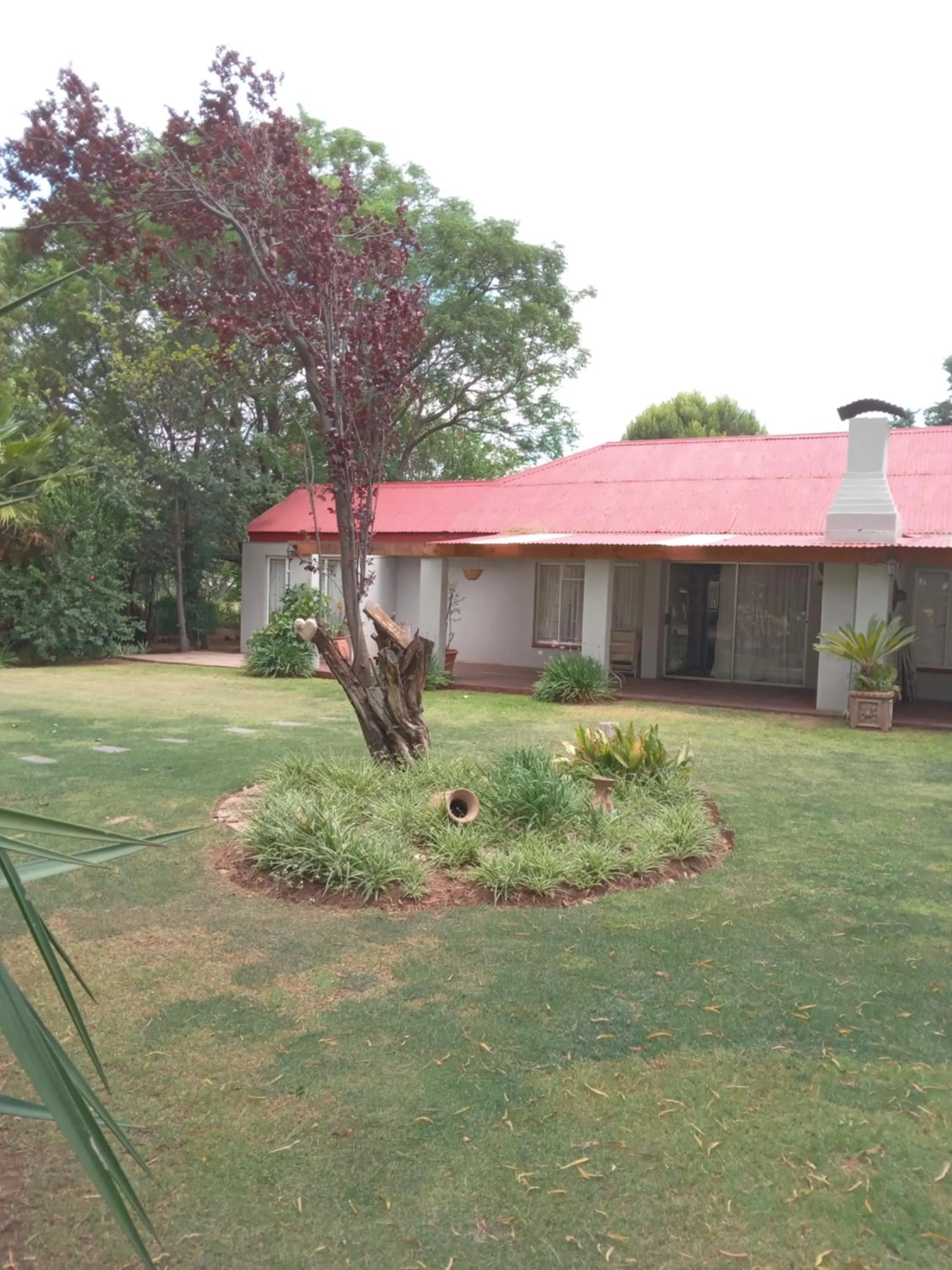 Garden in A Cherry Lane Self Catering and B&B