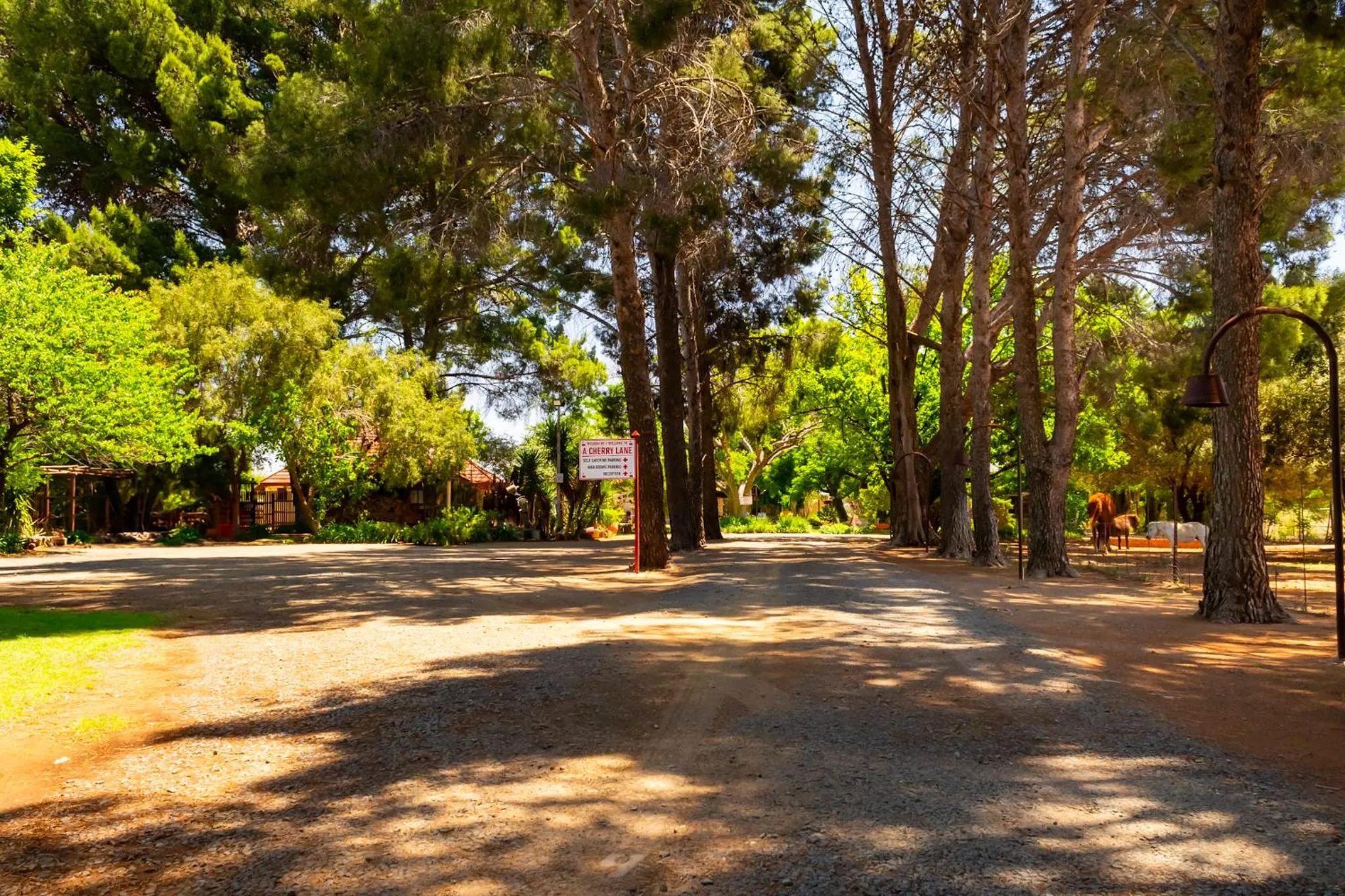Garden view in A Cherry Lane Self Catering and B&B
