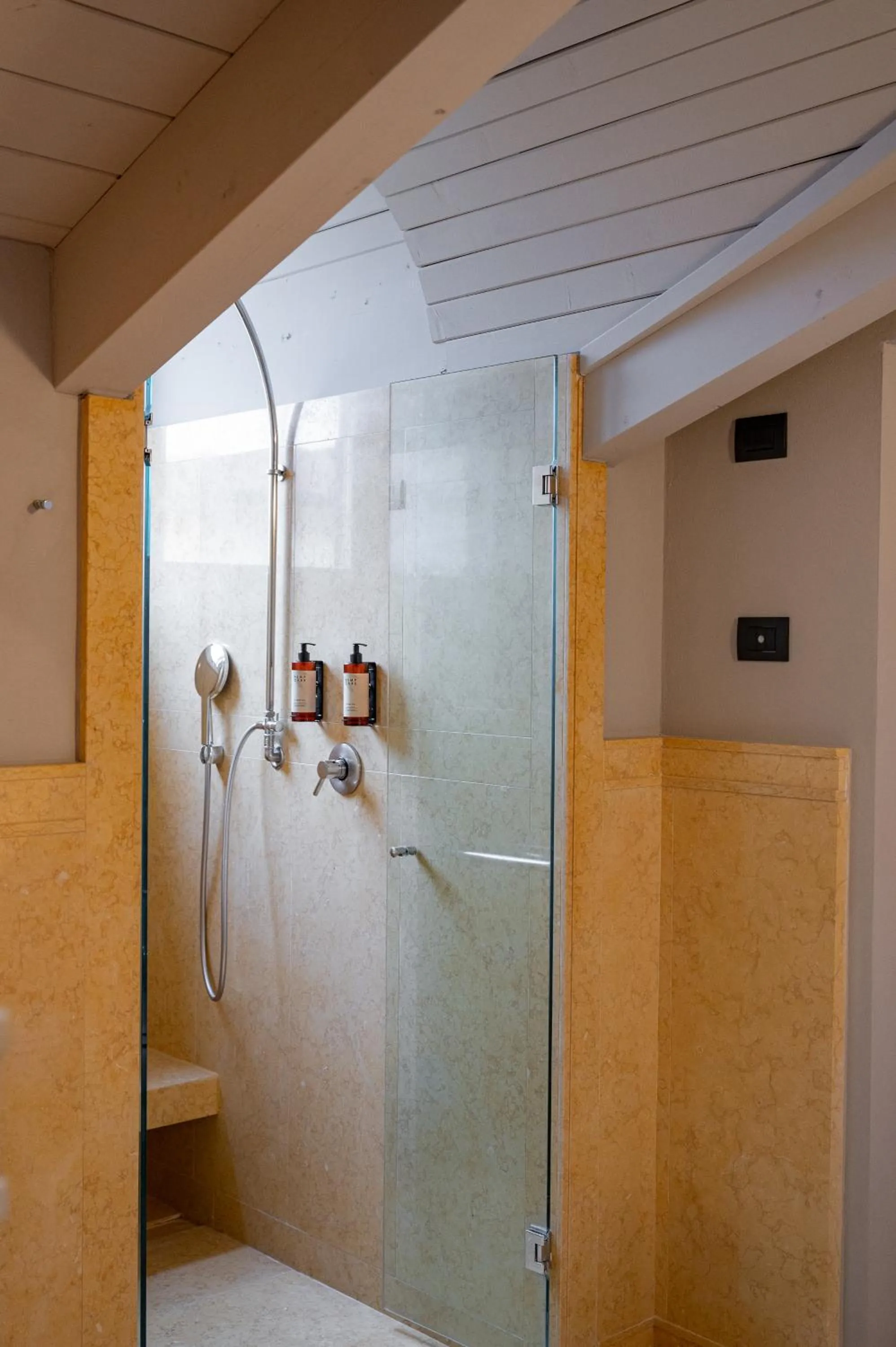 Shower in Hotel Brun