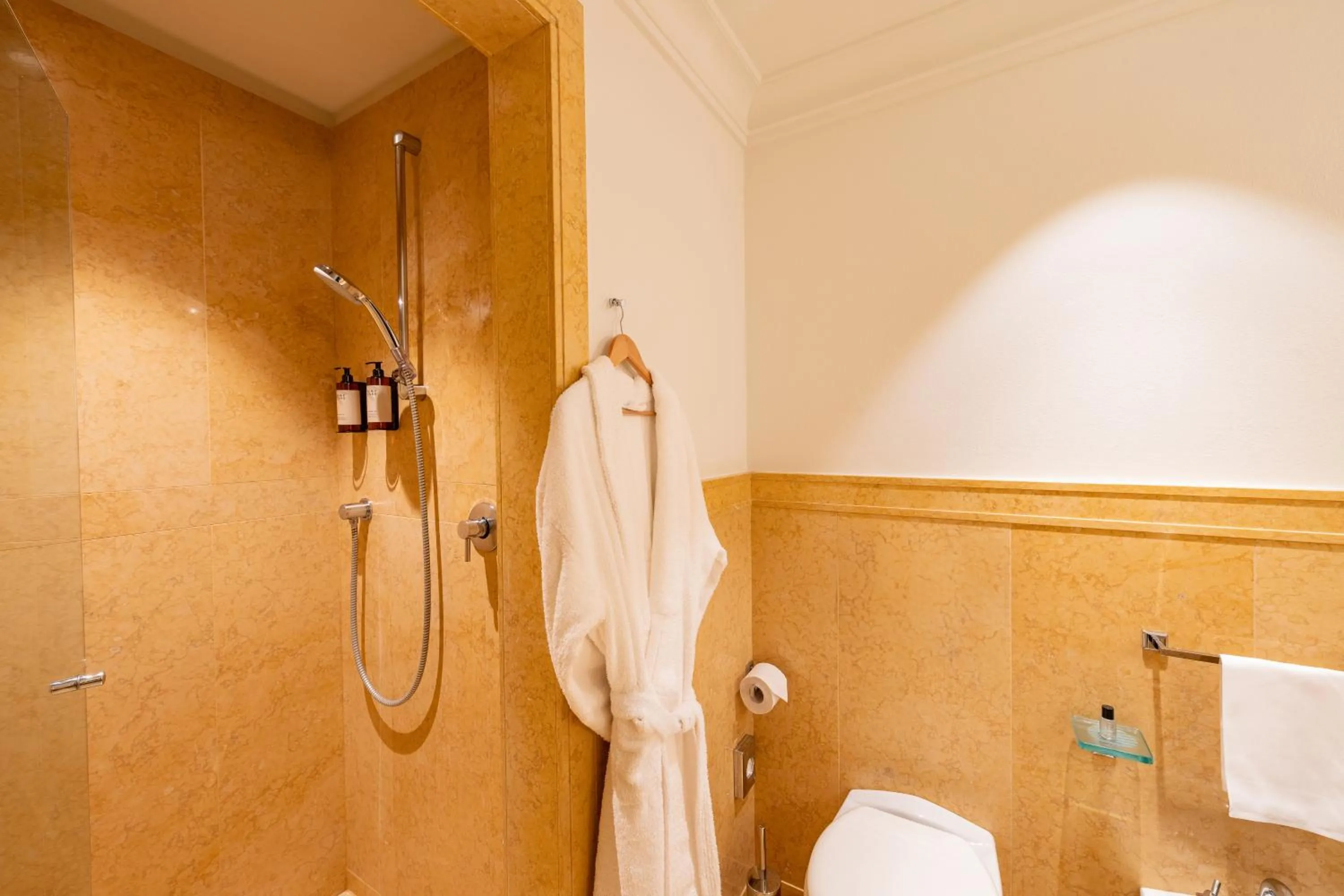 Shower in Hotel Brun