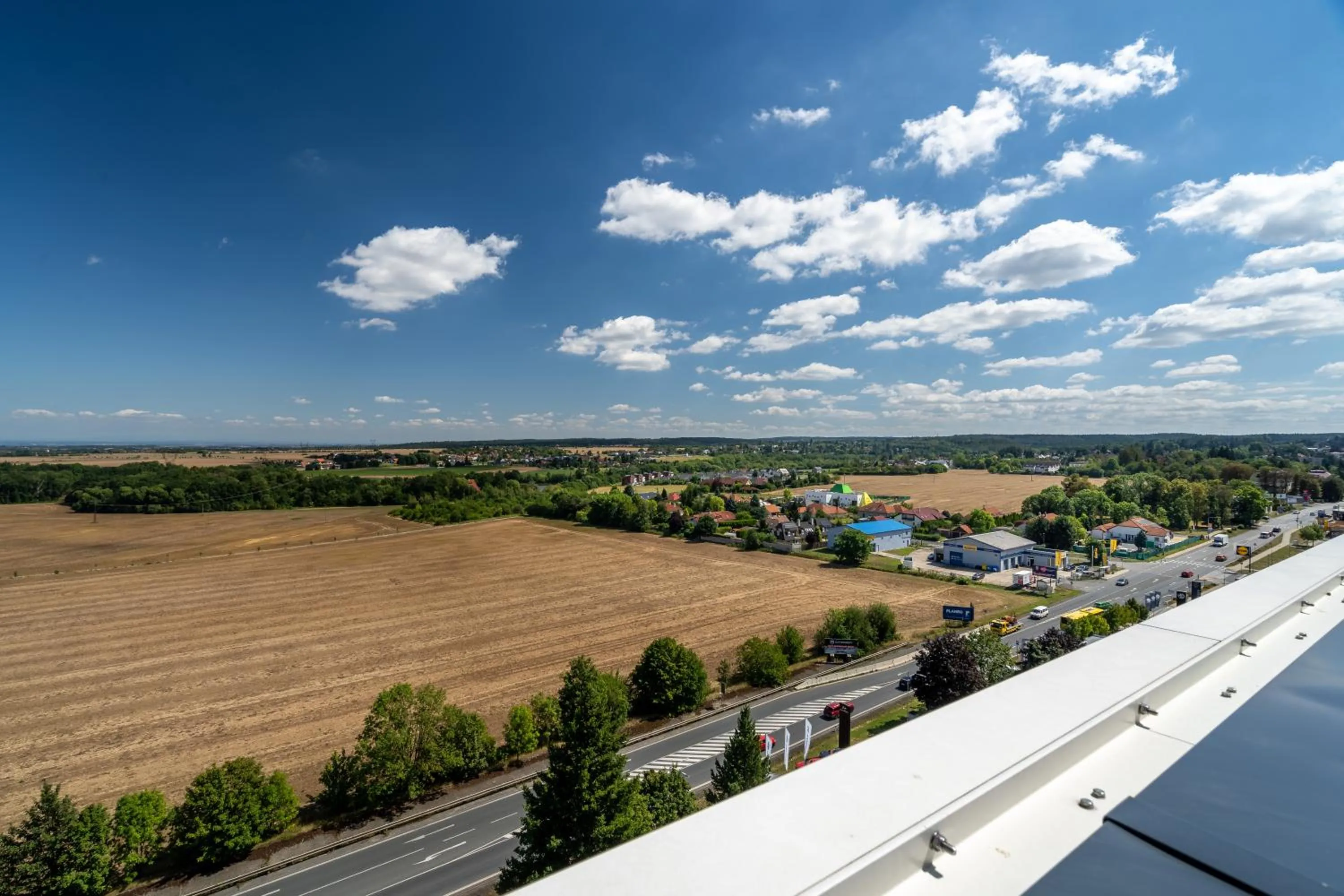 Day in HONEST Ricany