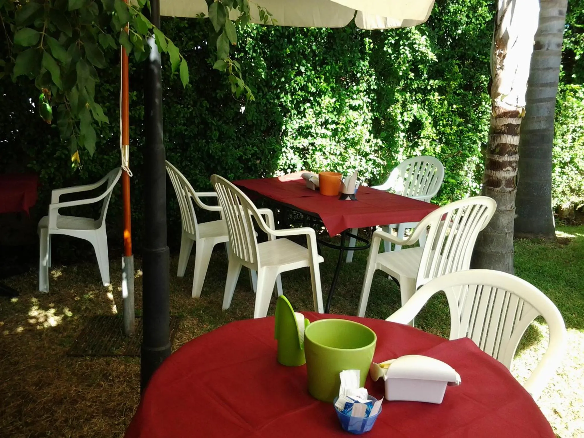 Garden in B & B Paradise