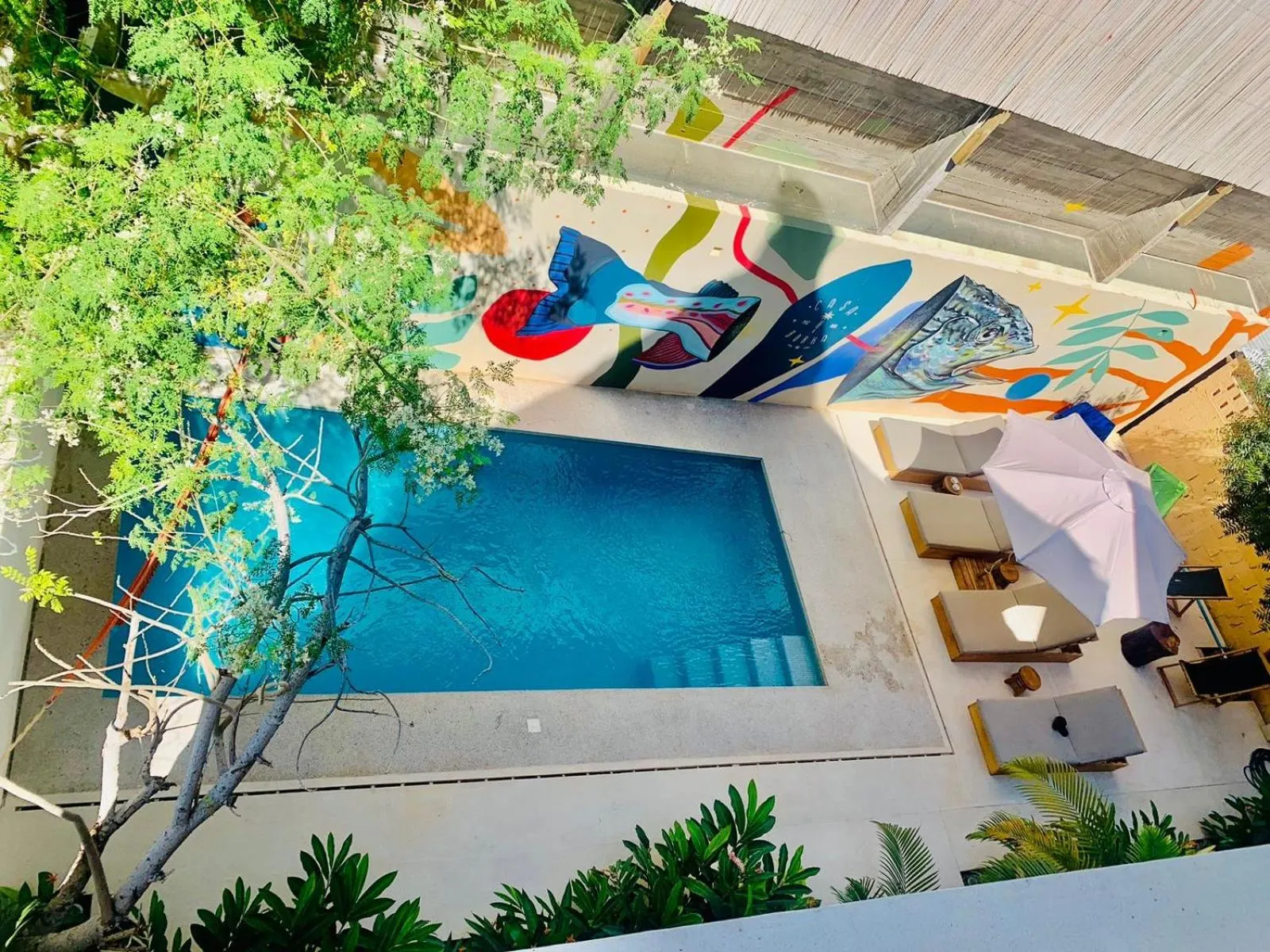 Pool view in Casa Borka LUXURY FULLY FURNISHED BEACH CONDOS WITH POOL