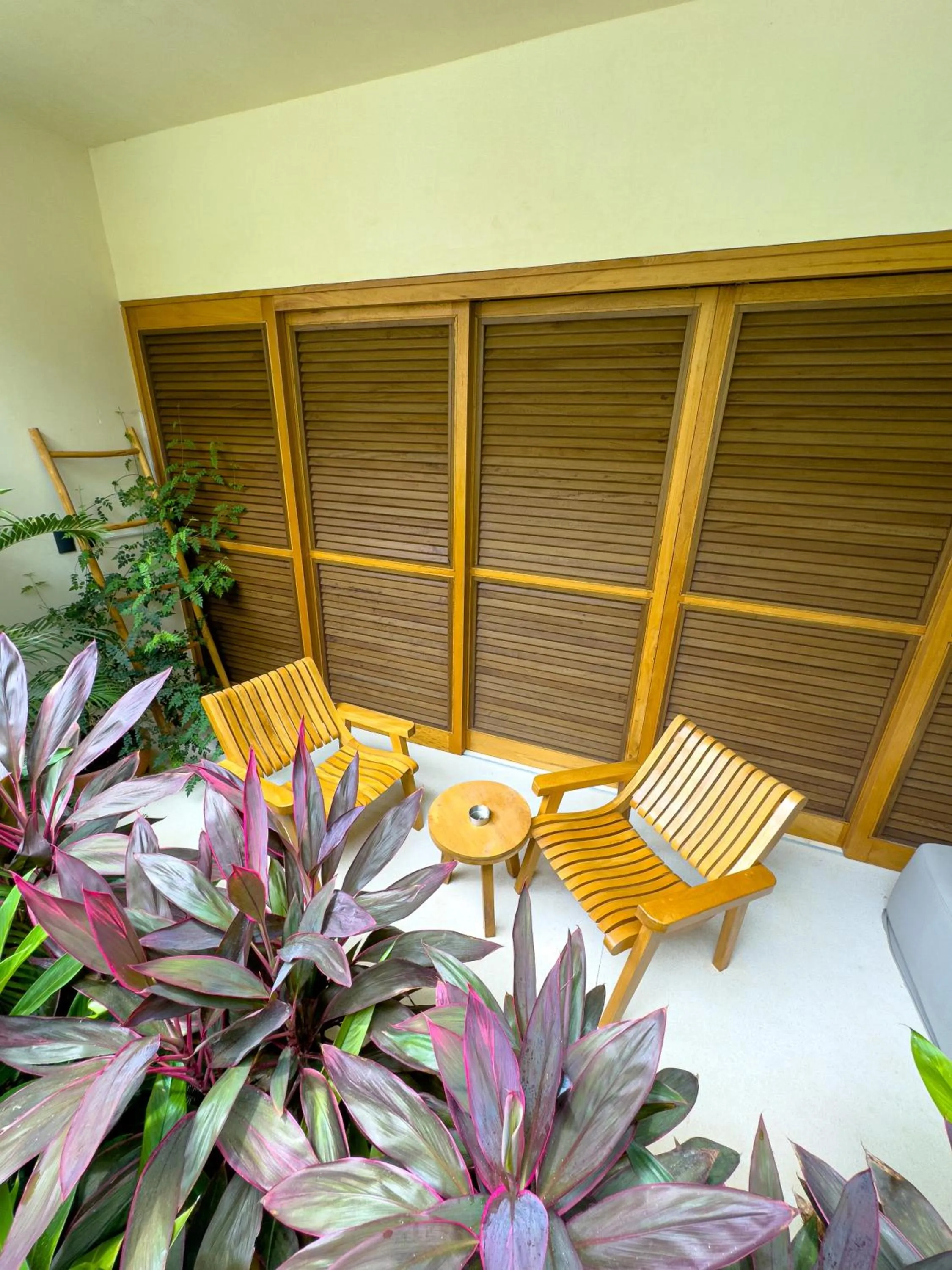 Balcony/Terrace in Casa Borka LUXURY FULLY FURNISHED BEACH CONDOS WITH POOL