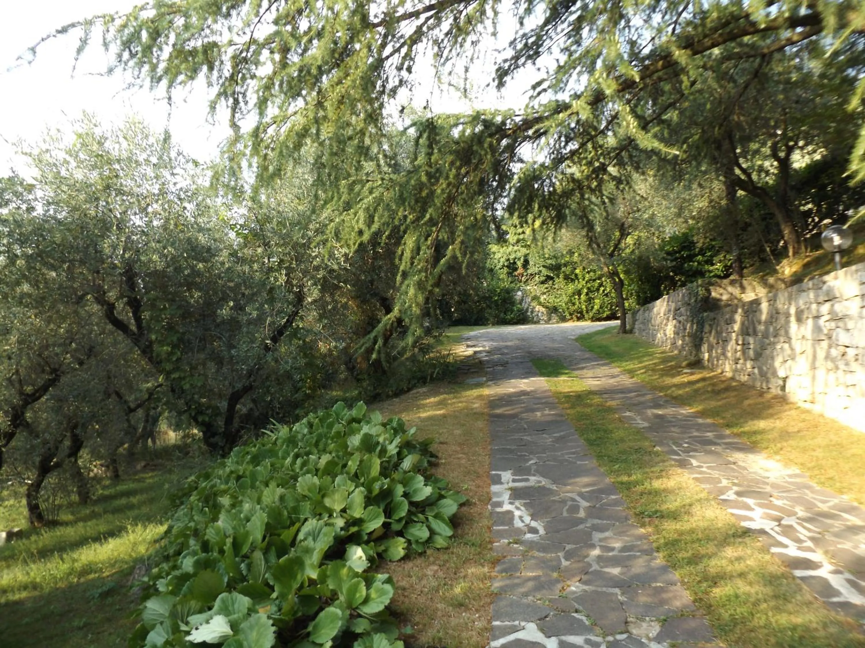 Natural landscape in Villa Margiò