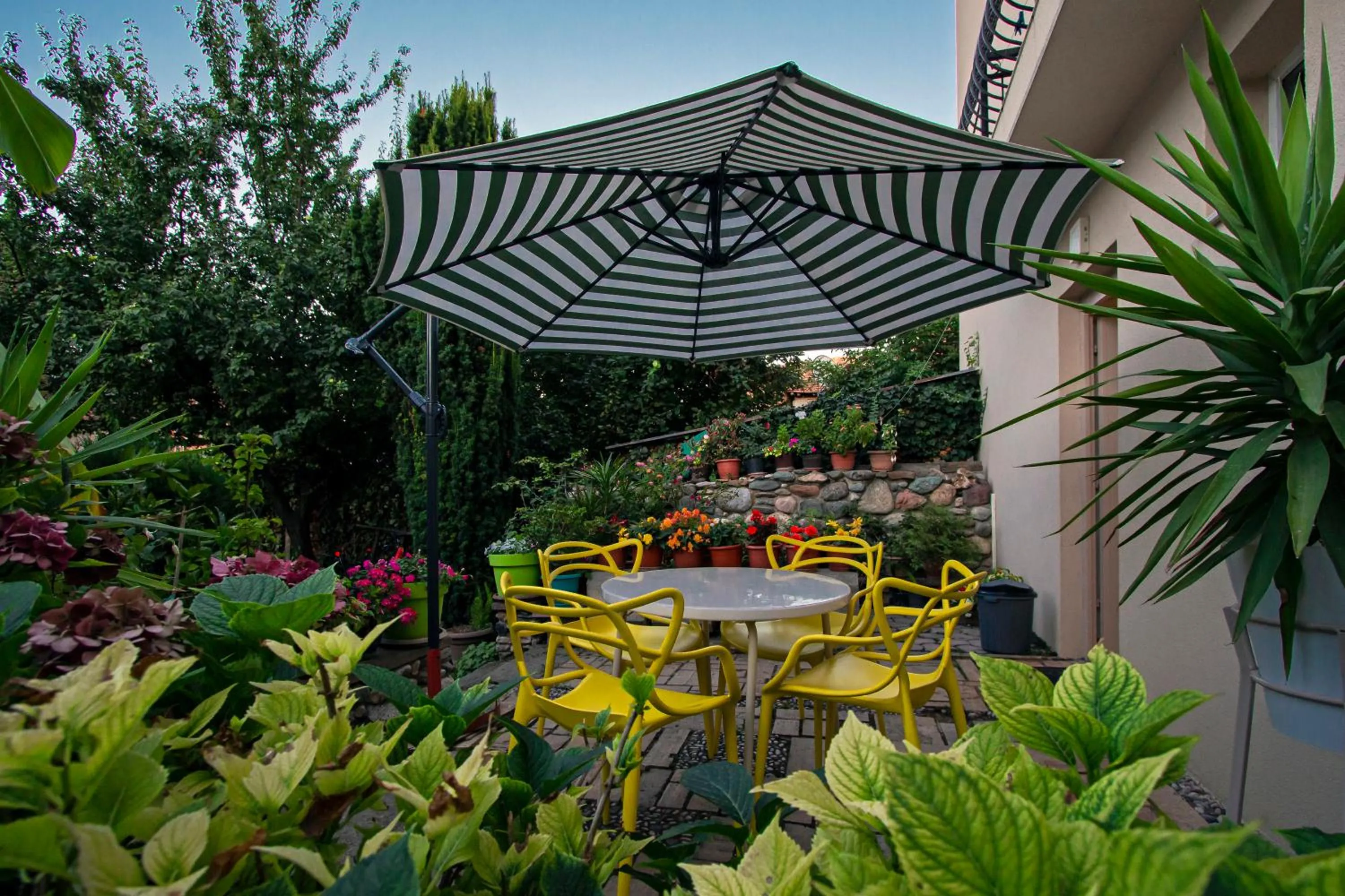 Garden in Bitrak Guest House