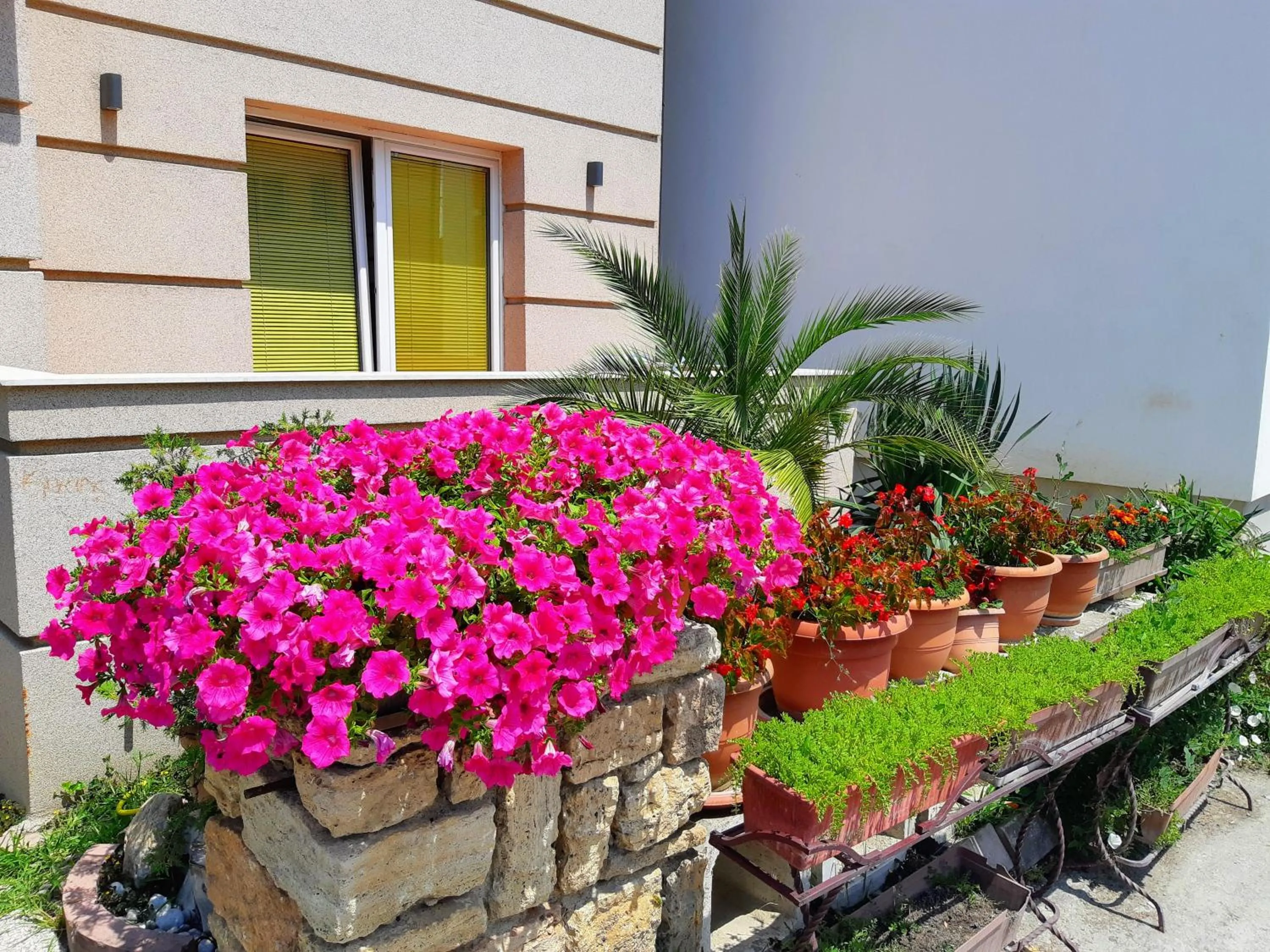 Facade/entrance in Bitrak Guest House