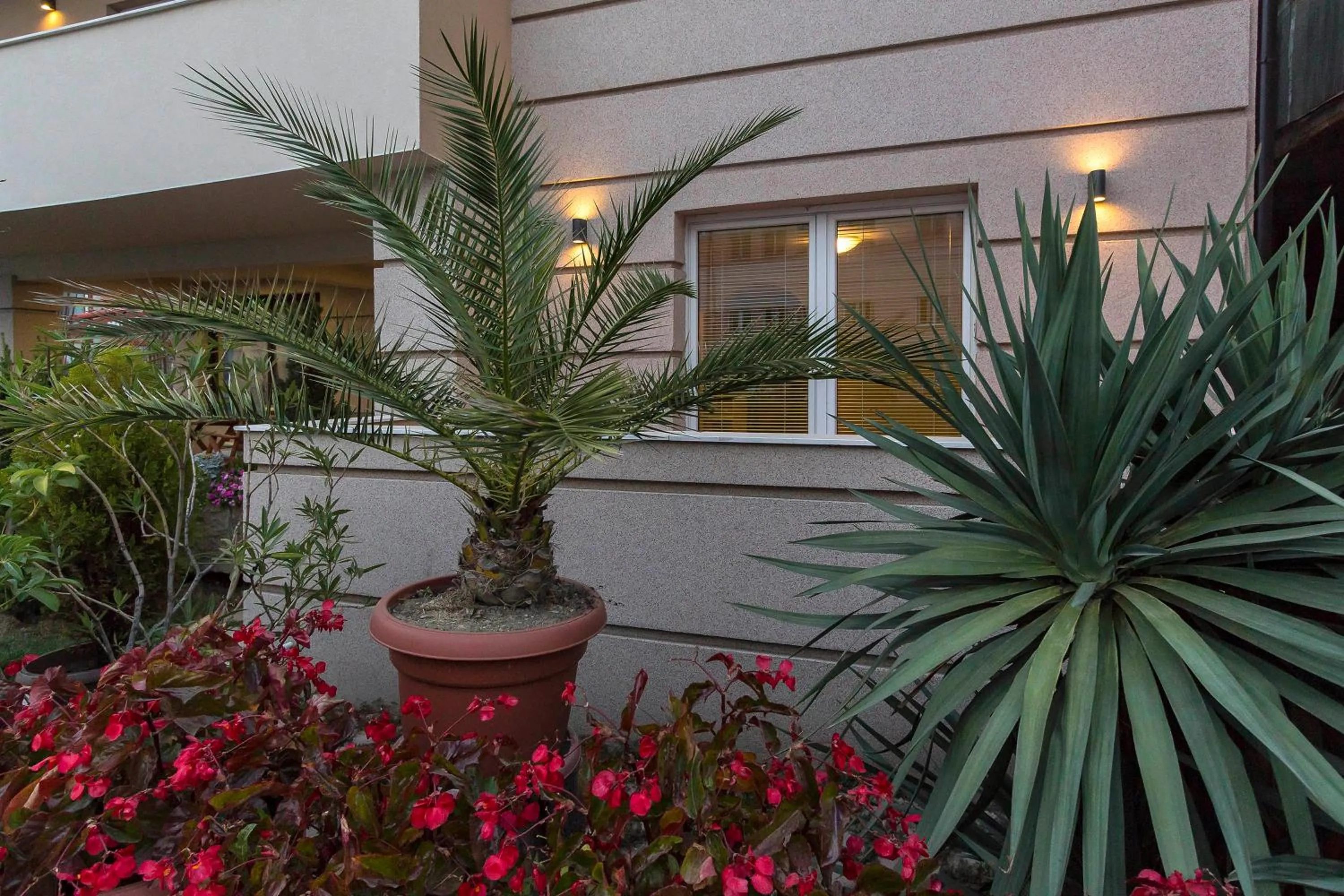 Facade/entrance in Bitrak Guest House