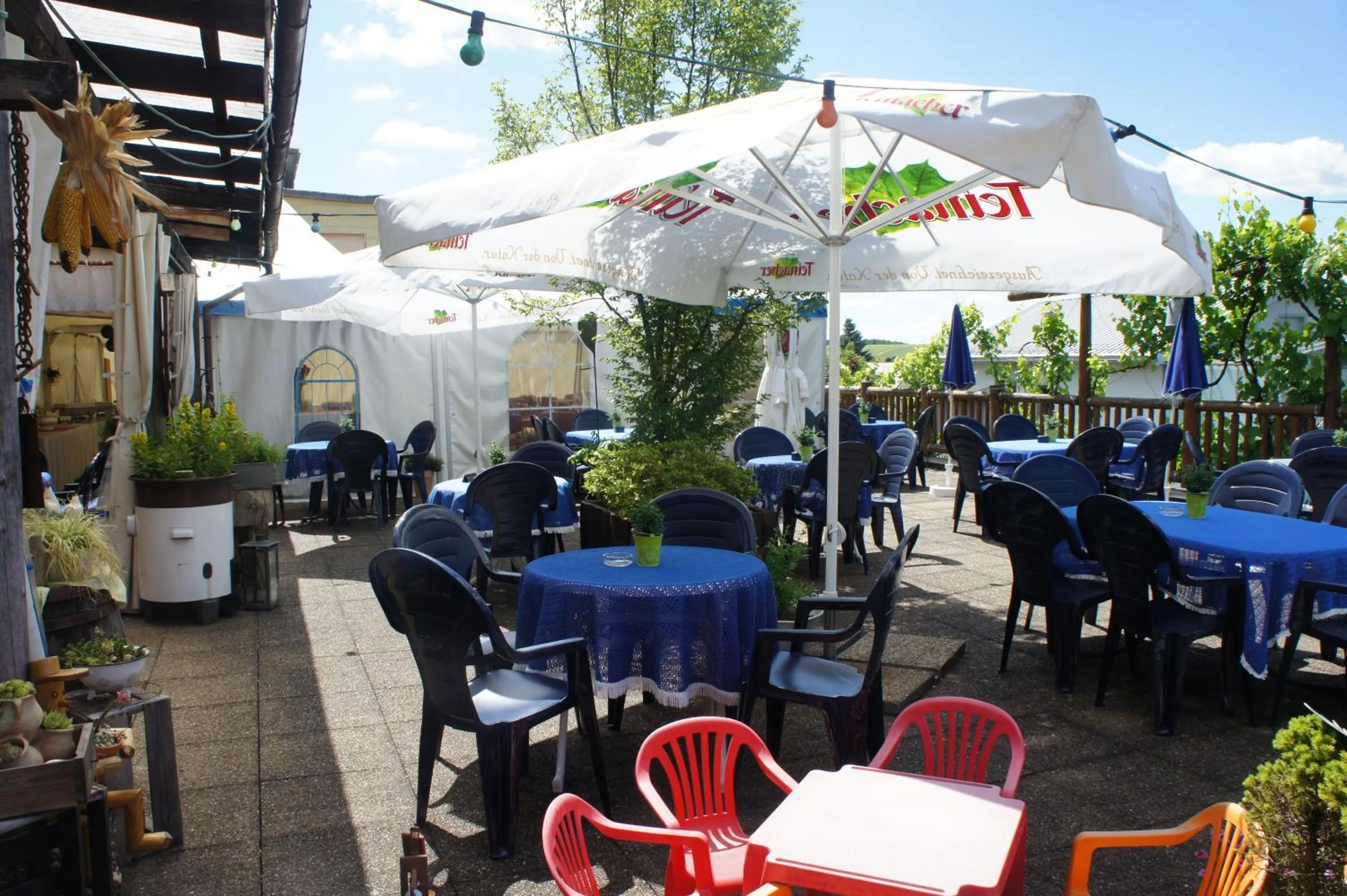 Balcony/Terrace in Landhotel Engel