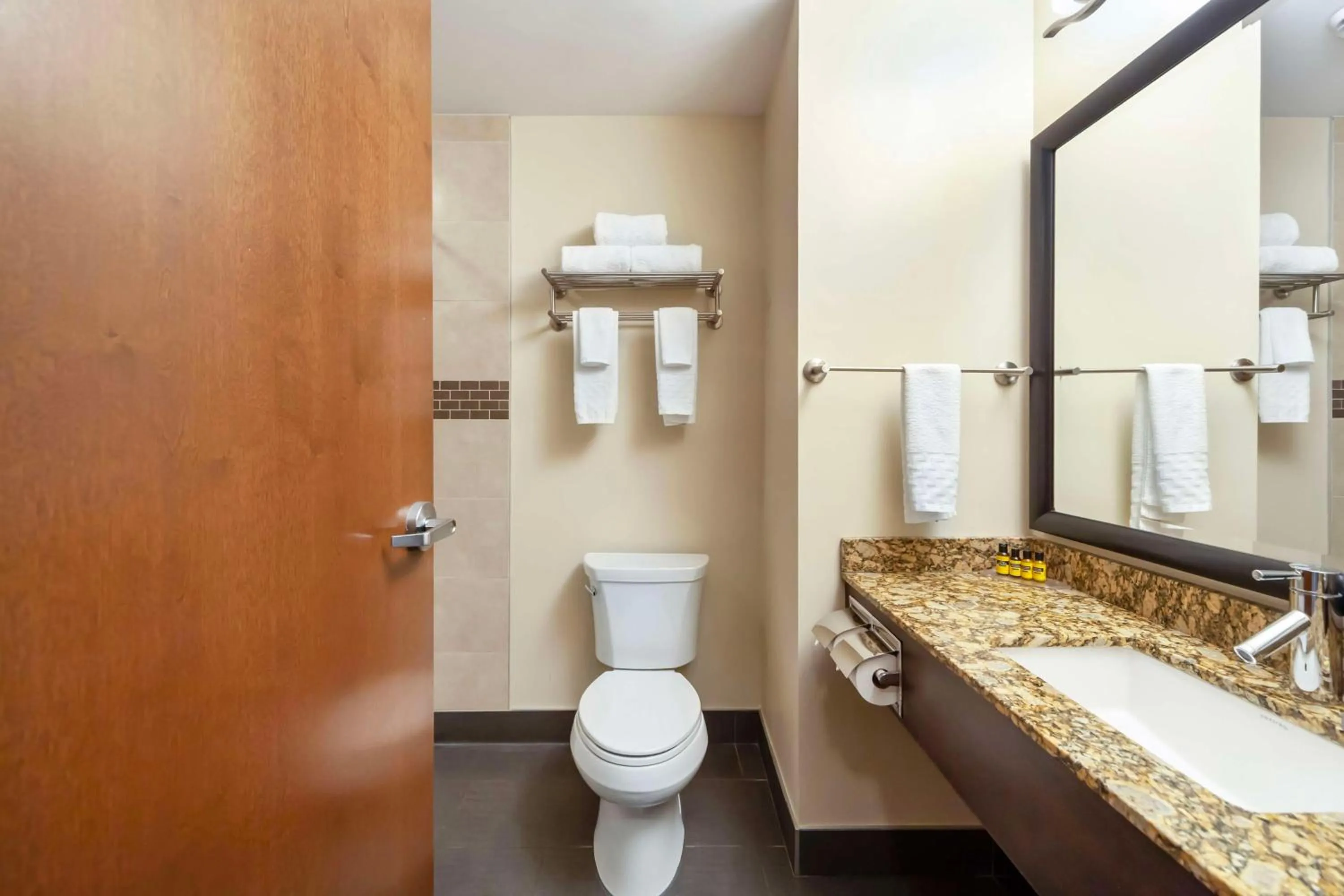 Bathroom in Best Western Plus Peace River Hotel & Suites