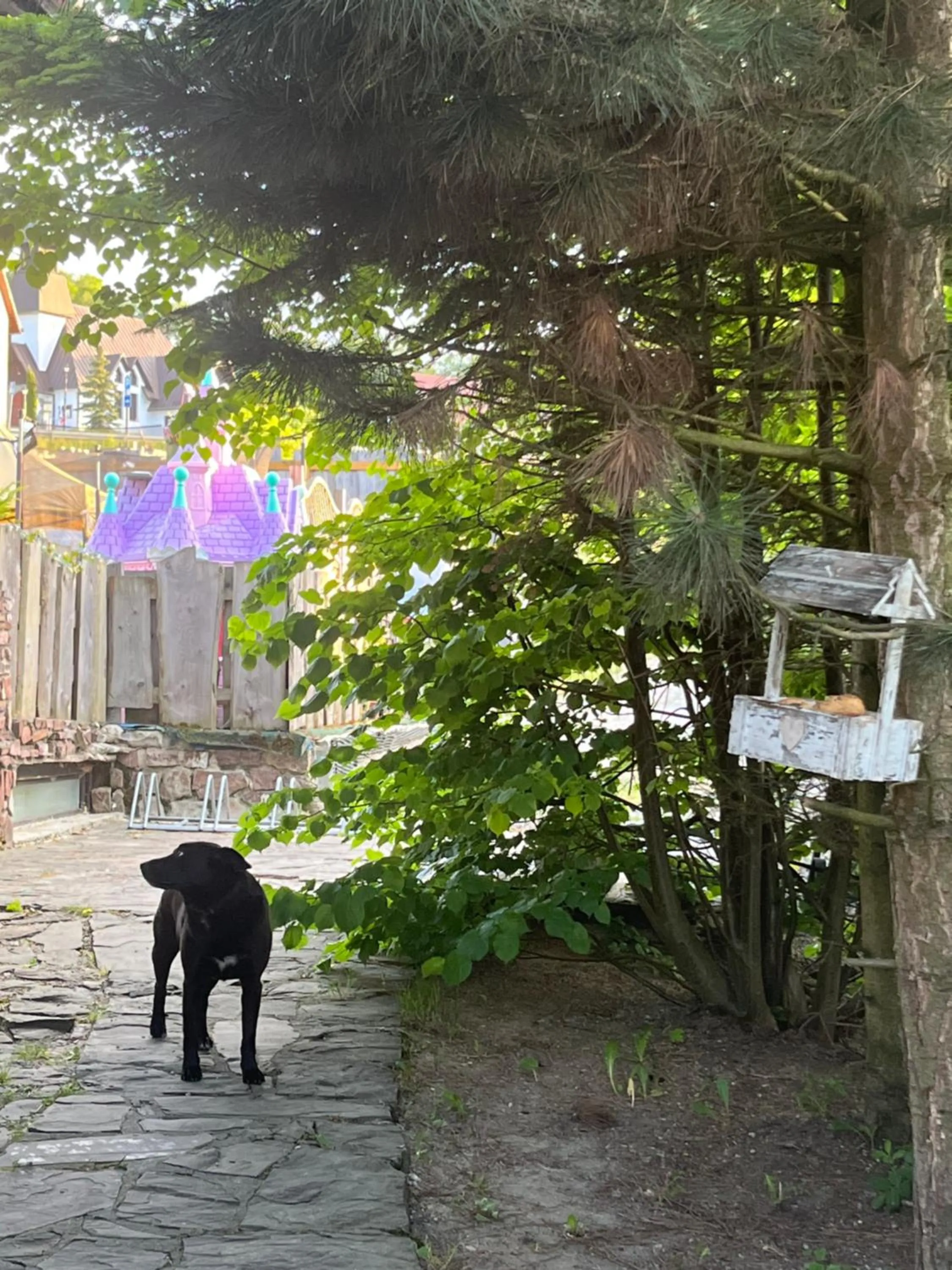 Garden view in Willa Rycerz