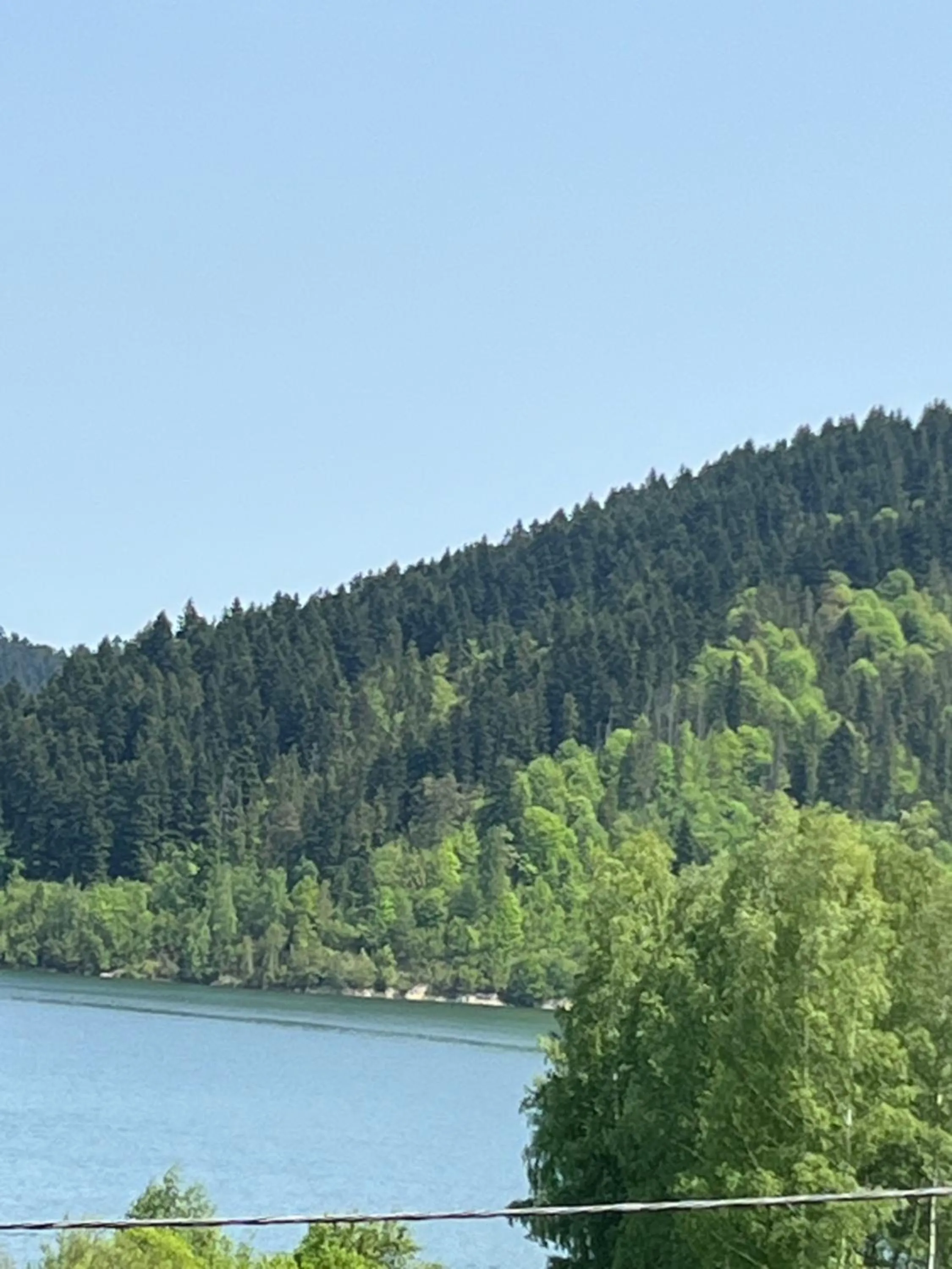 Lake view in Willa Rycerz