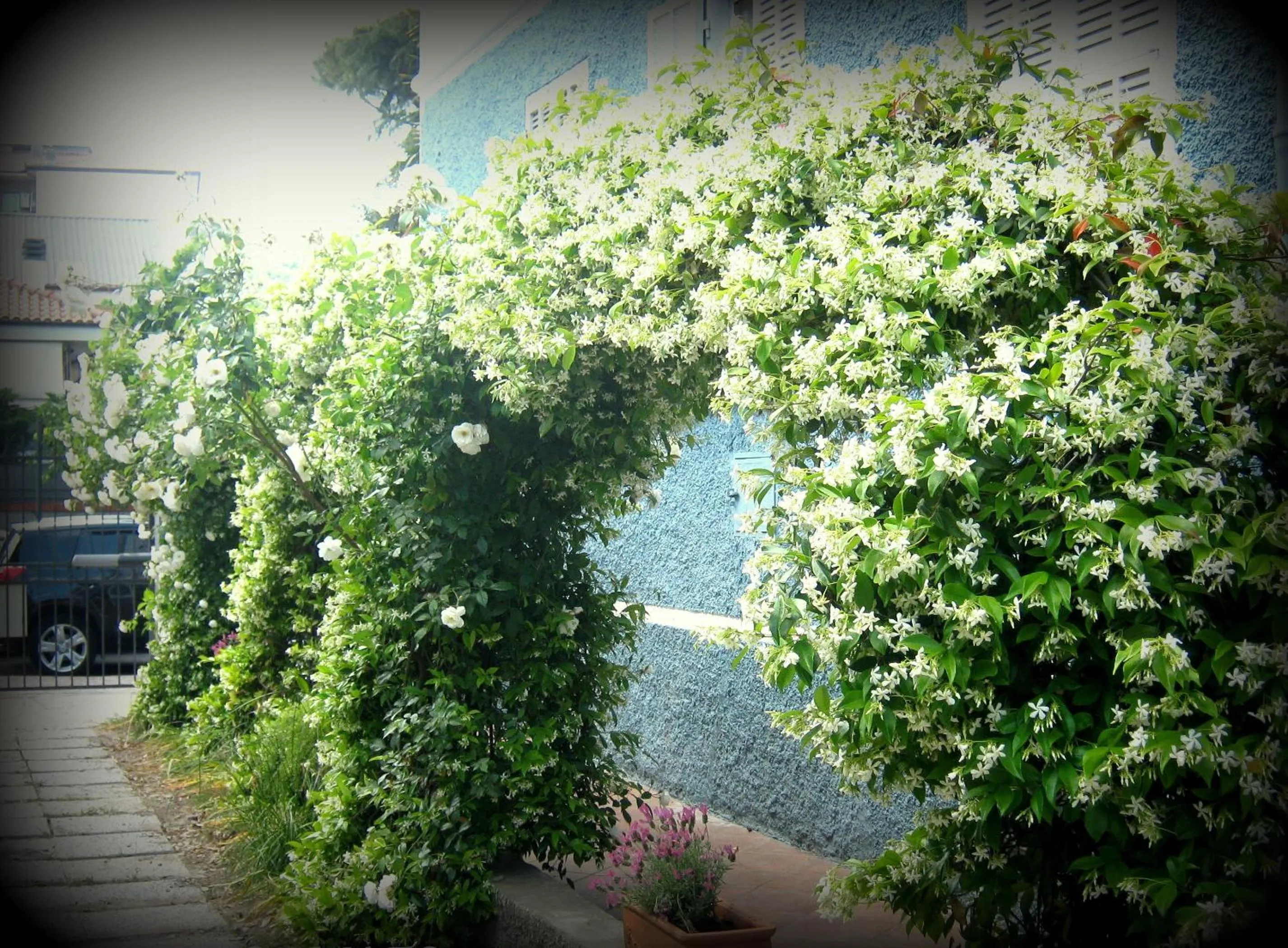 Facade/entrance in B&B Elisir