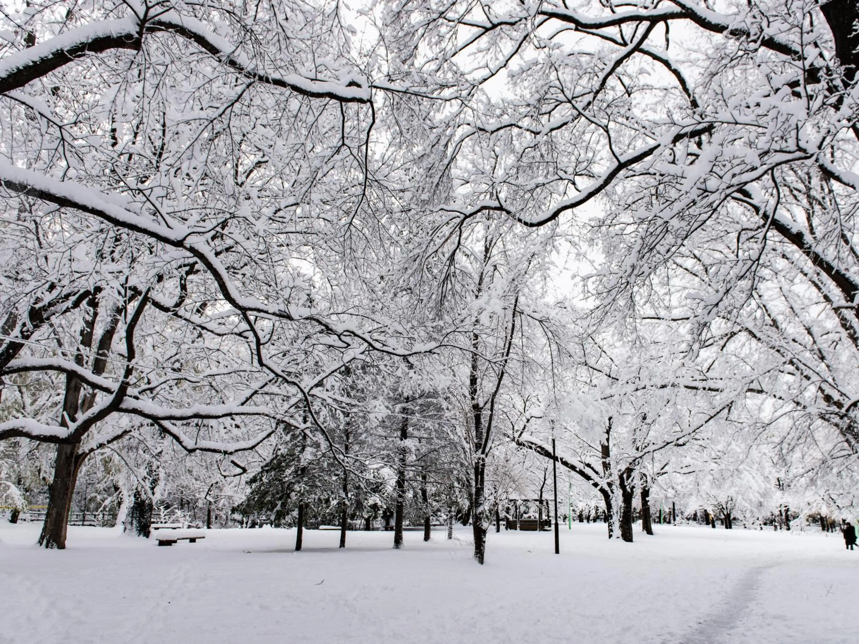Nearby landmark in the b sapporo