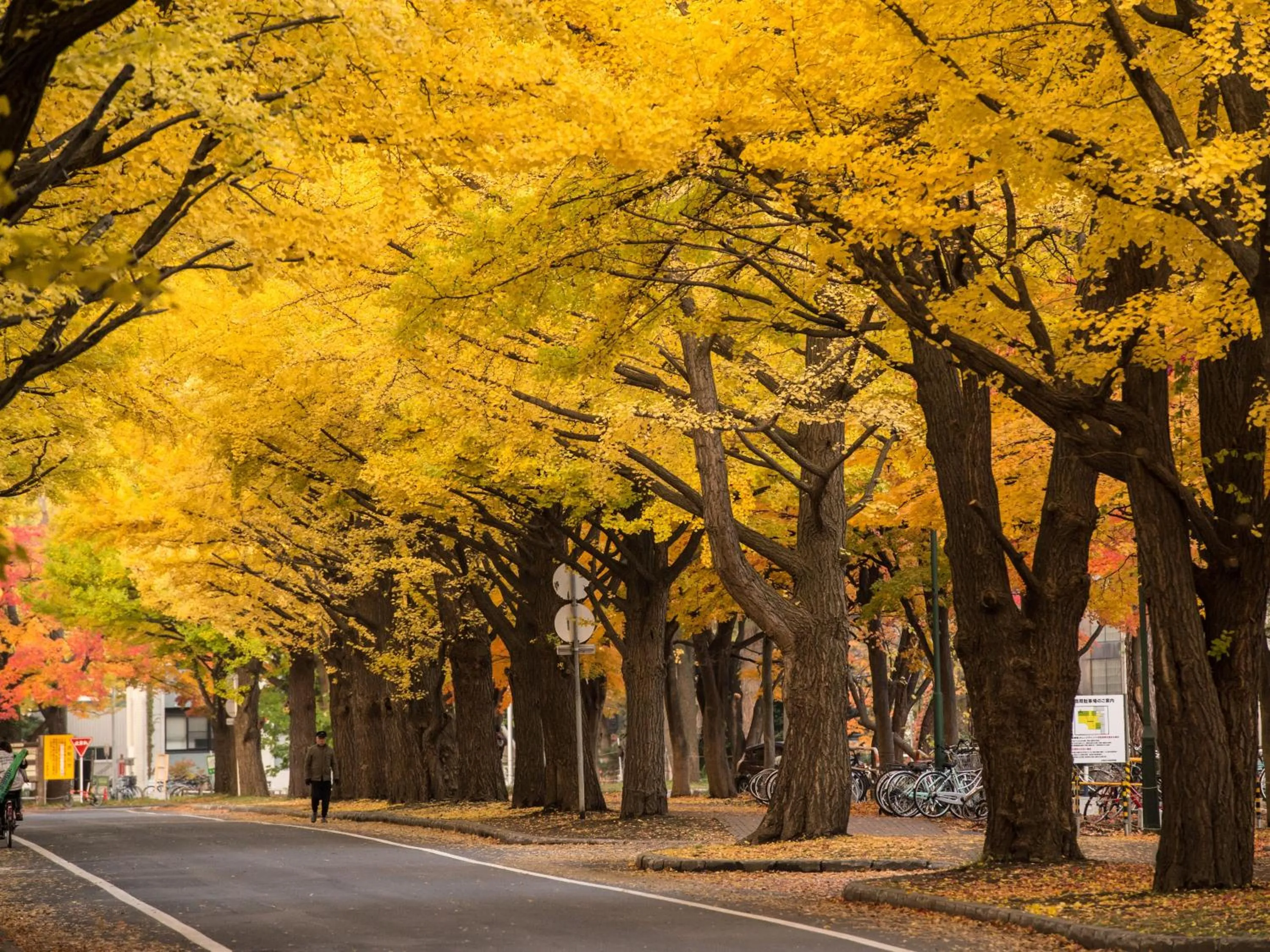 Nearby landmark in the b sapporo